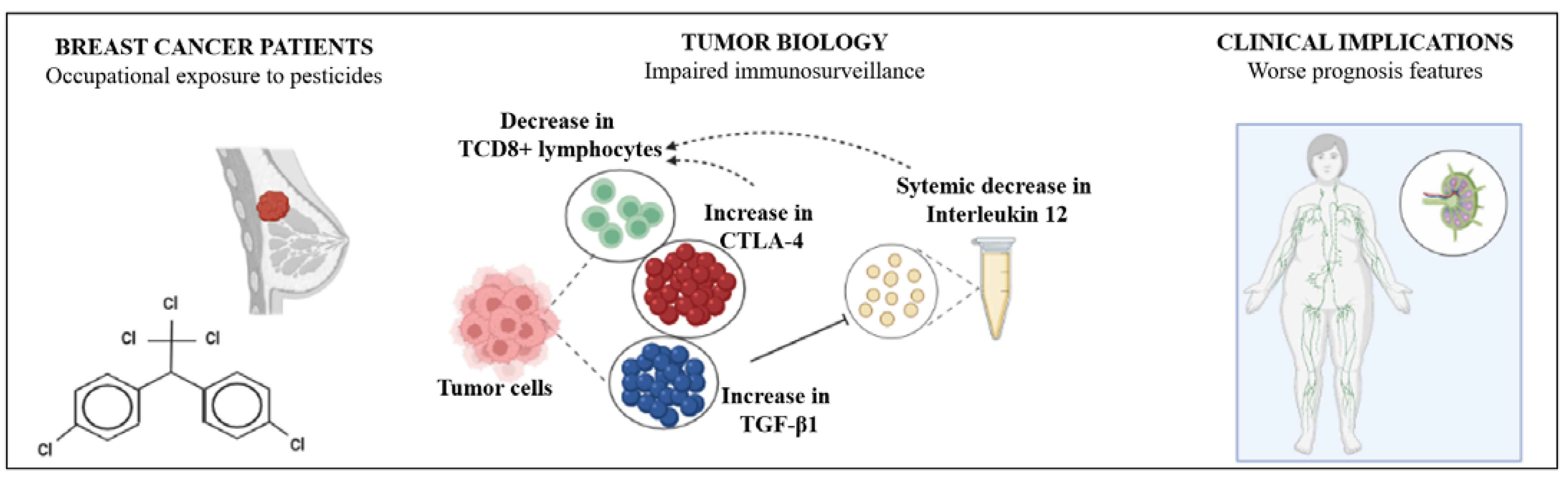 Cancers 14 05199 g006 Cancers 14 05199 g006