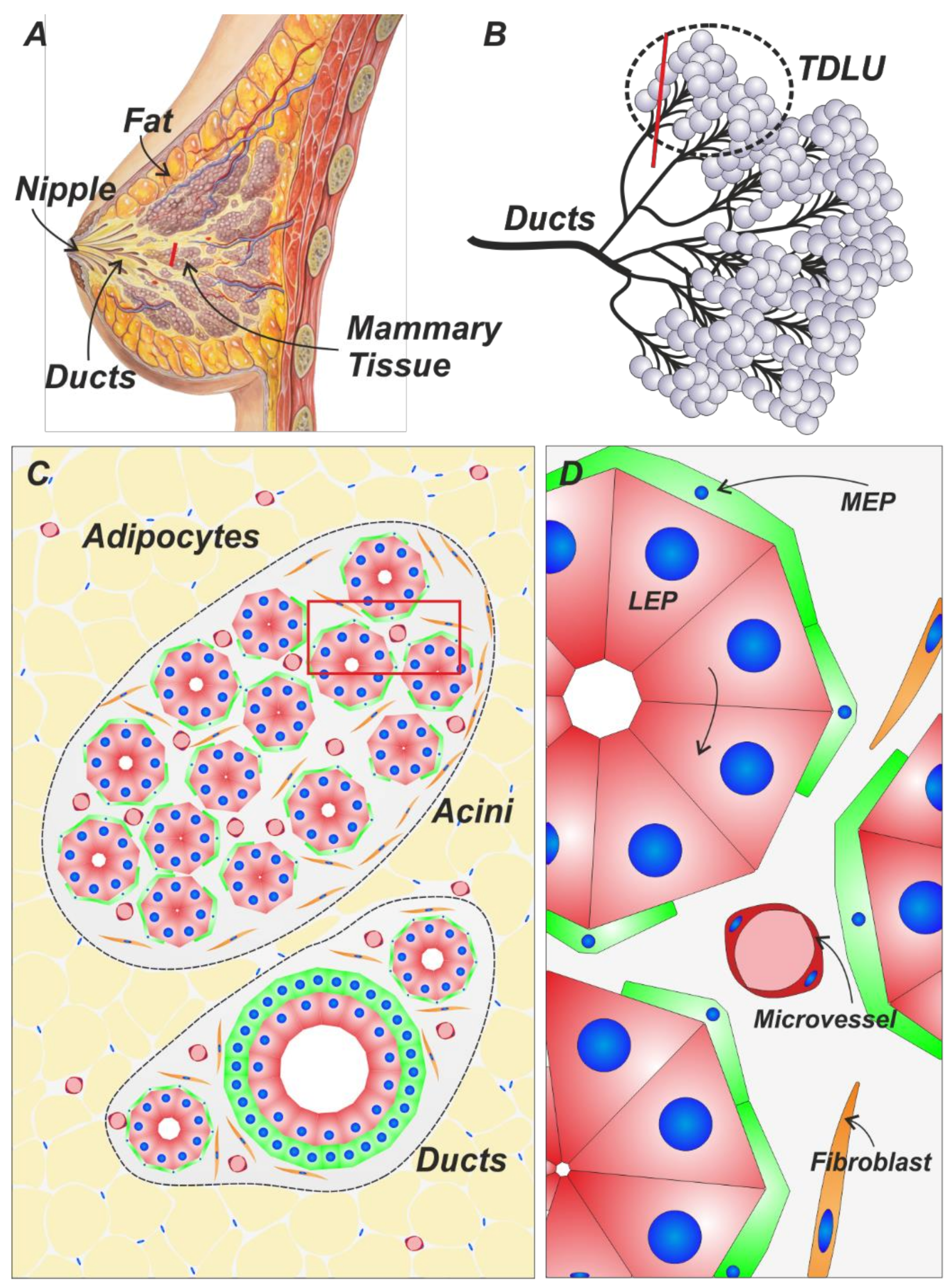 Cancers 14 05209 g001 Cancers 14 05209 g001