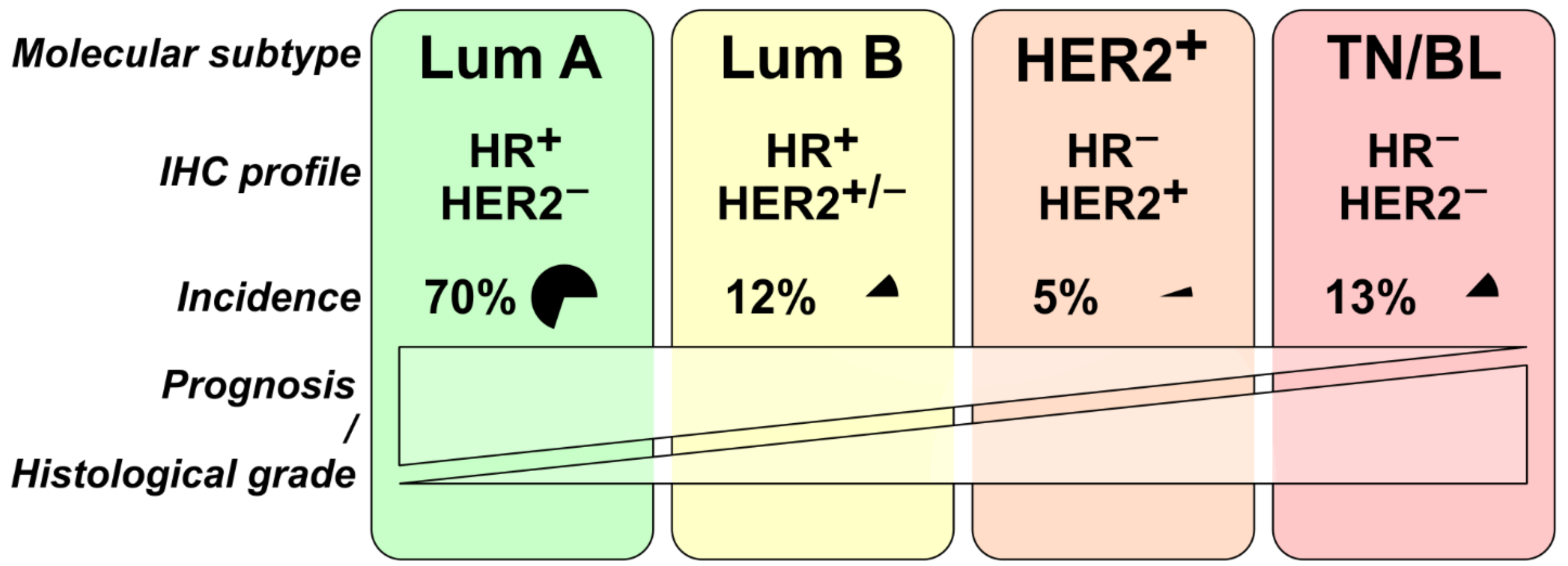 Cancers 14 05209 g002