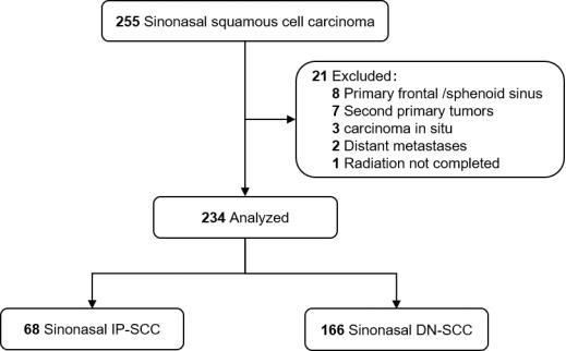 Cancers 14 05211 g001 Cancers 14 05211 g001