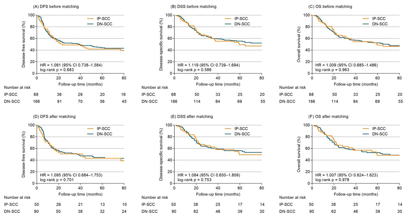 Cancers 14 05211 g002 Cancers 14 05211 g002