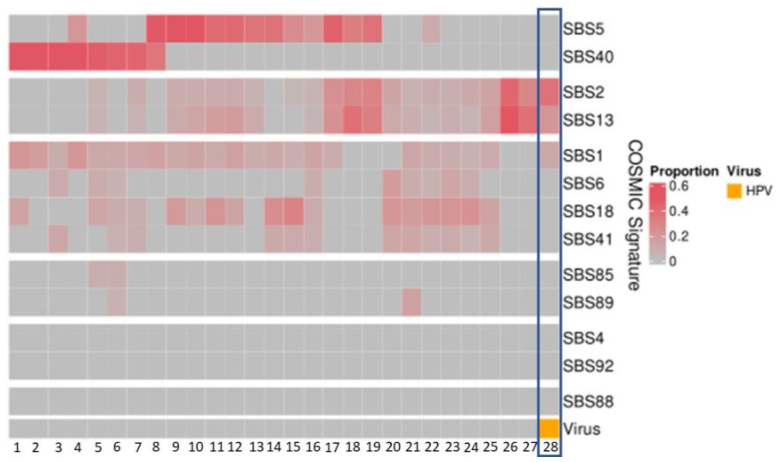 Cancers 14 05213 g003 Cancers 14 05213 g003