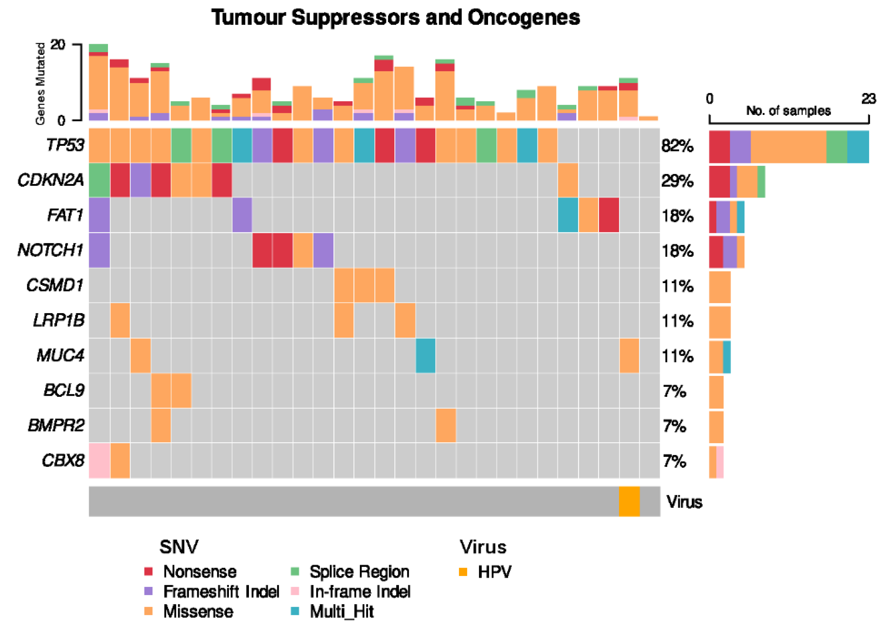 Cancers 14 05213 g004 Cancers 14 05213 g004