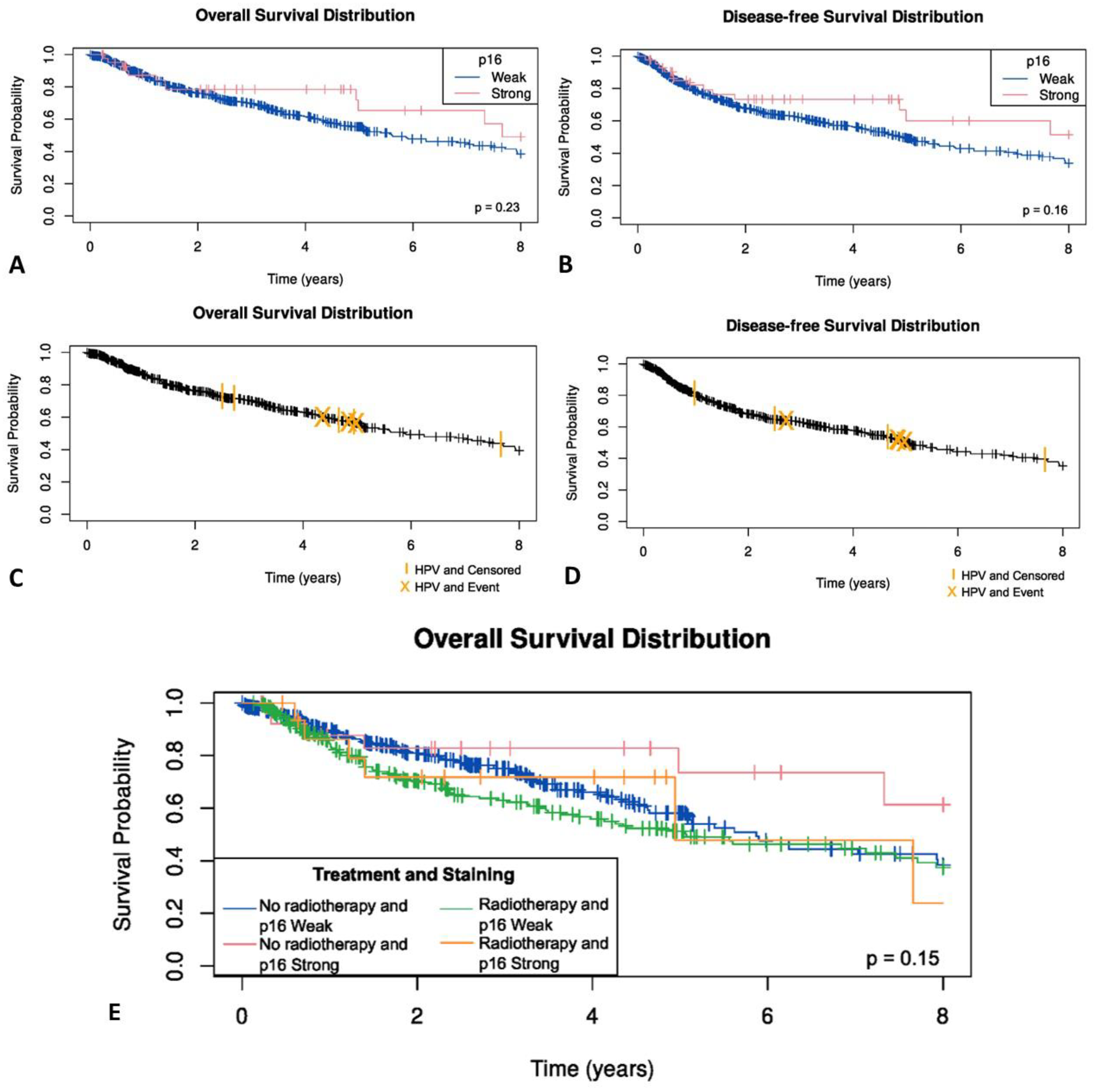 Cancers 14 05213 g006 Cancers 14 05213 g006