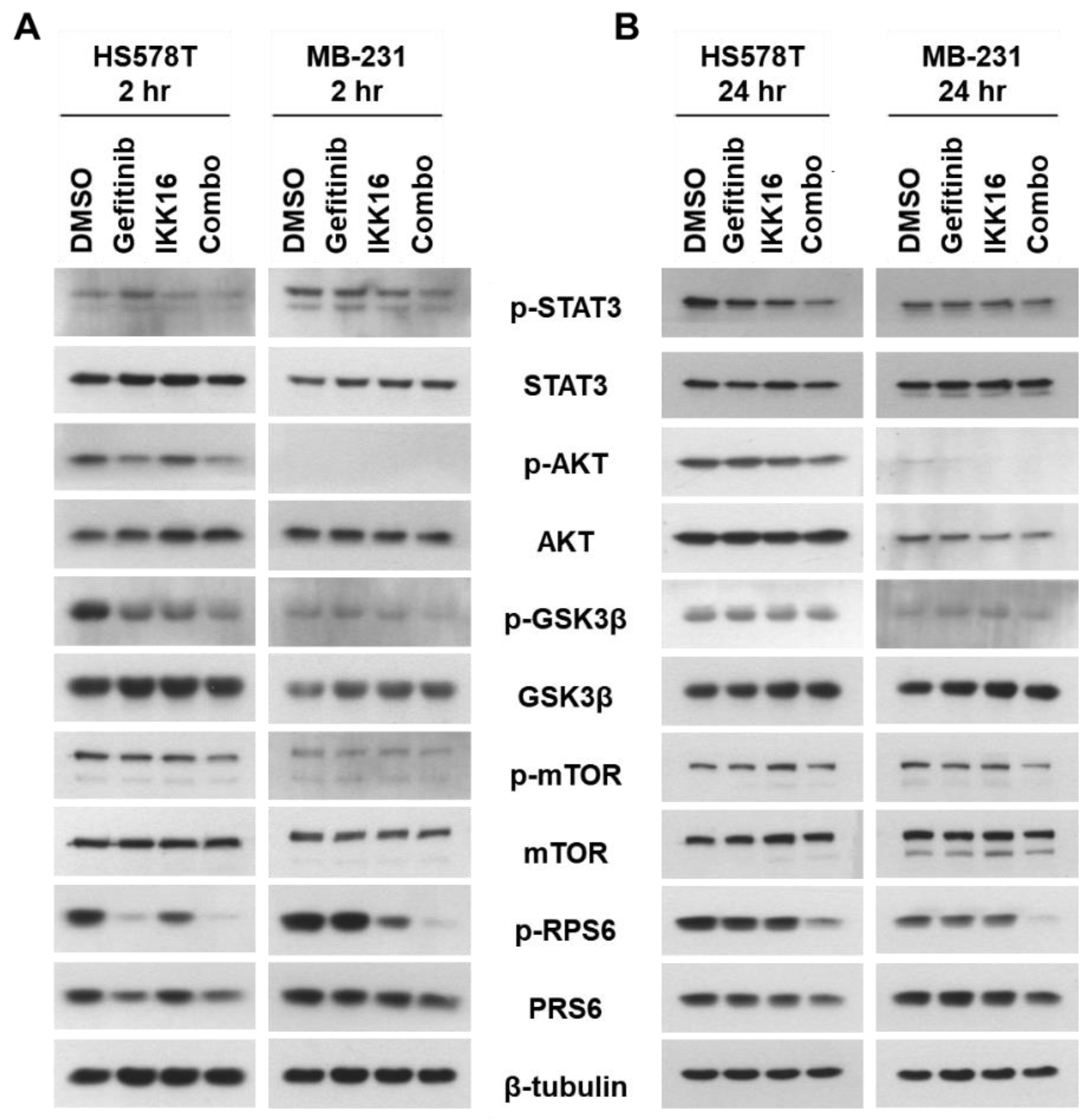 Cancers 14 05215 g004 Cancers 14 05215 g004