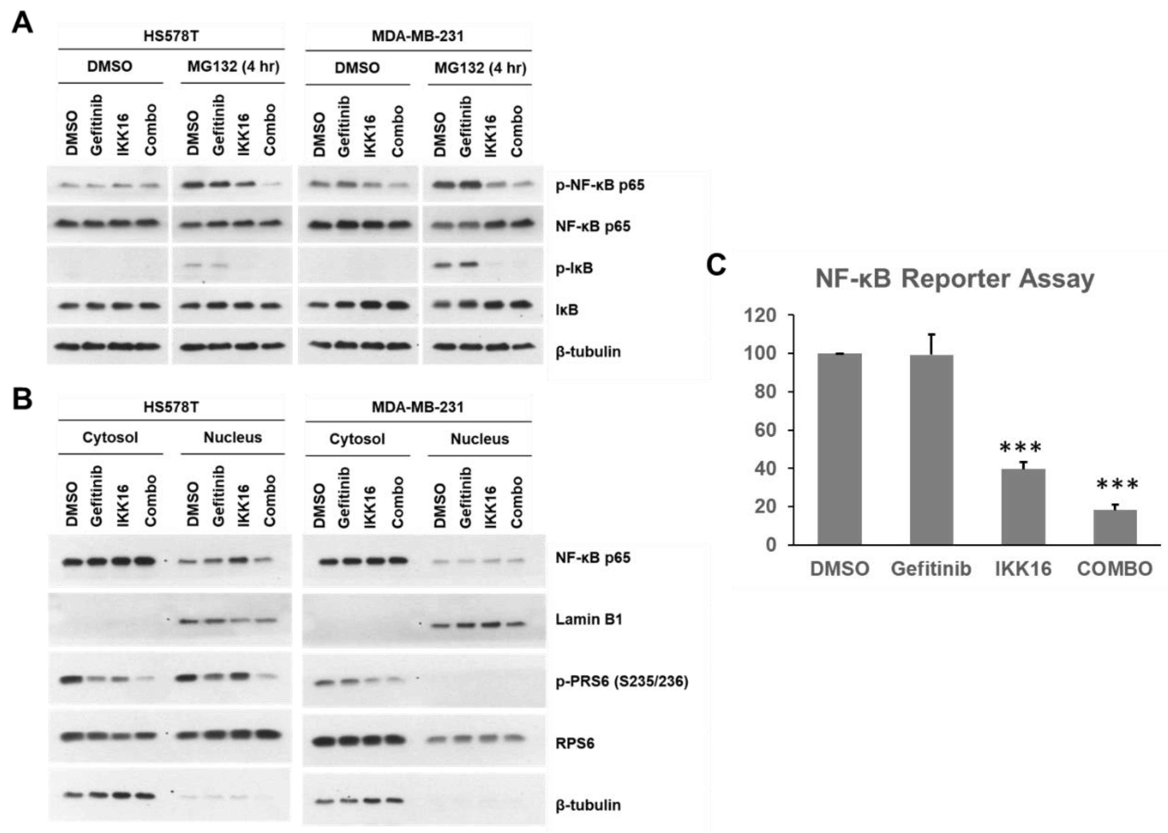 Cancers 14 05215 g005 Cancers 14 05215 g005
