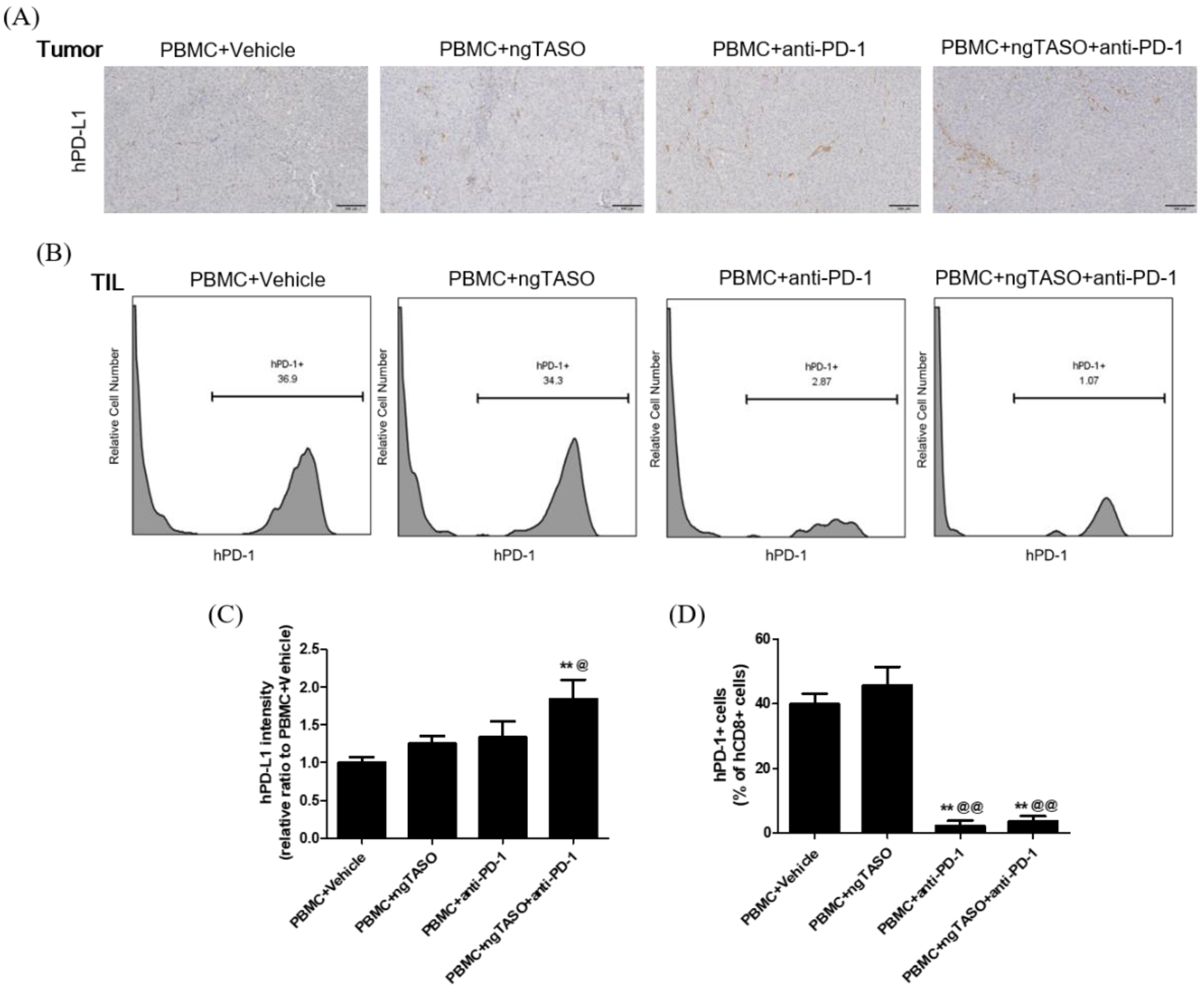 Cancers 14 05220 g005 Cancers 14 05220 g005