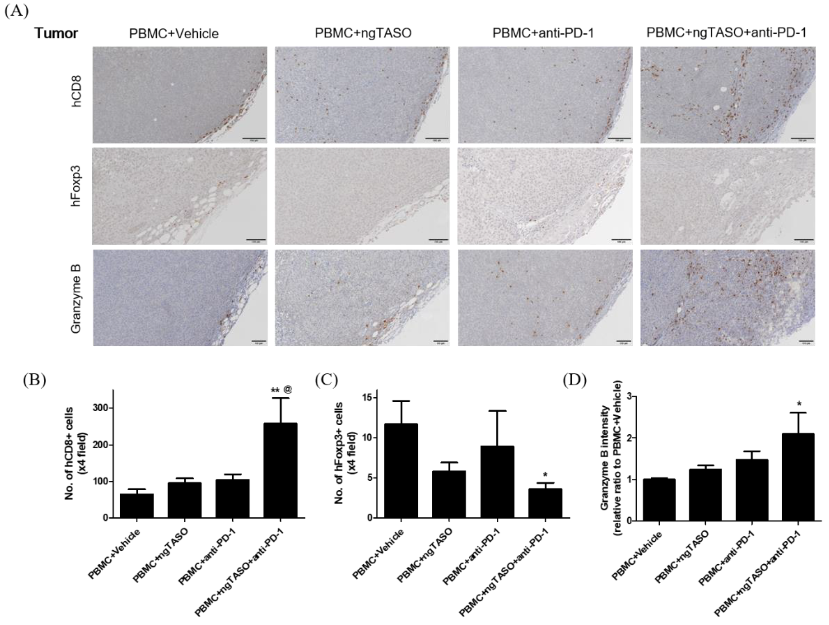 Cancers 14 05220 g006 Cancers 14 05220 g006
