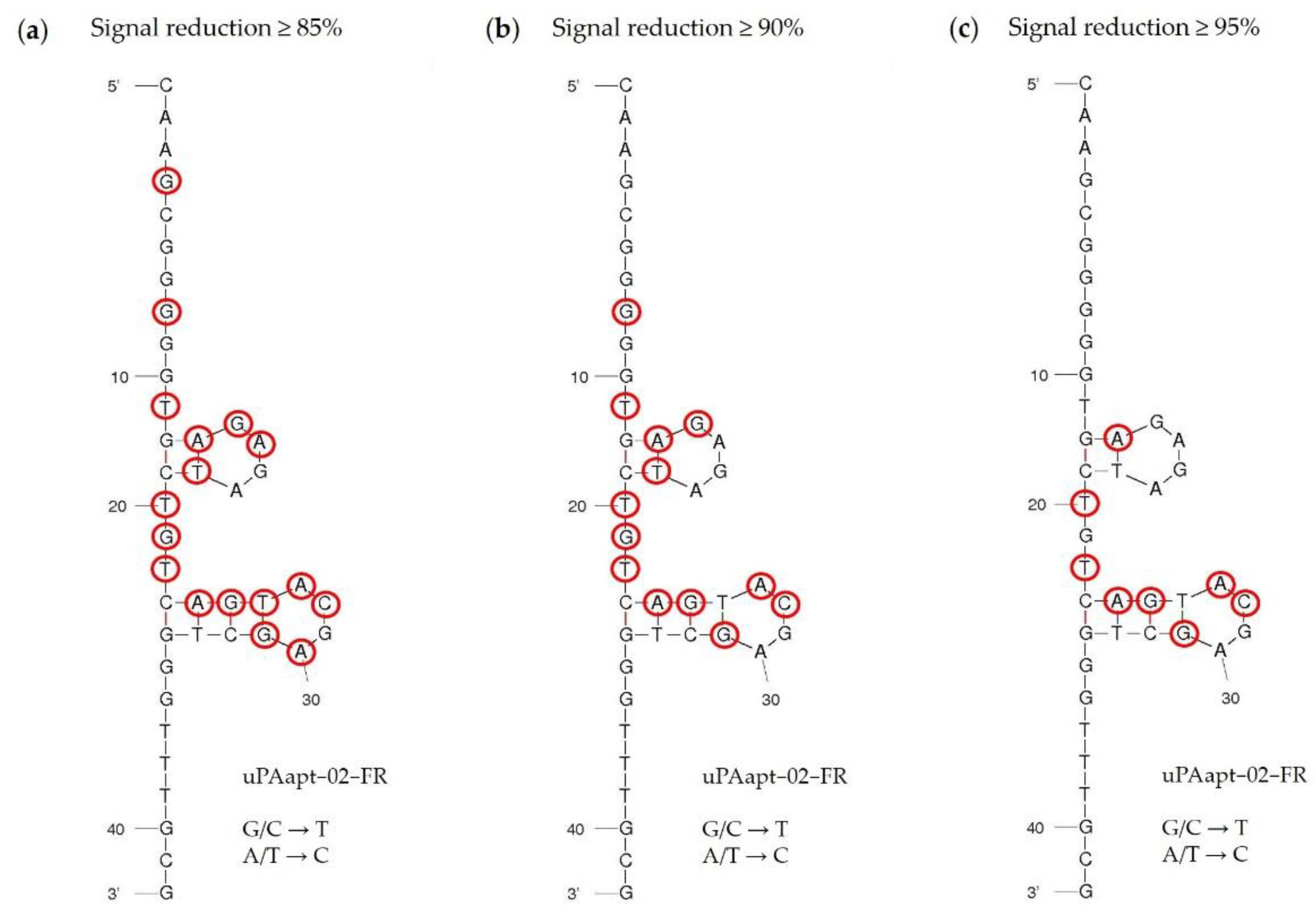 Cancers 14 05222 g007