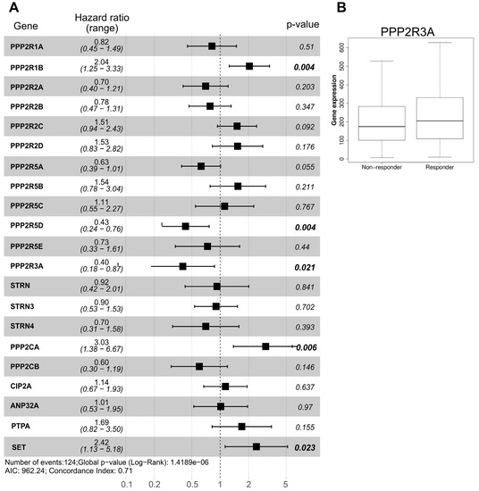 Mitochondrial Impairment in Sarcopenia