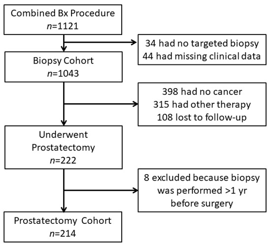 Cpt Code For Transperineal Prostate Biopsy Cancers | Free Full-Text | Individualized Decision Making in