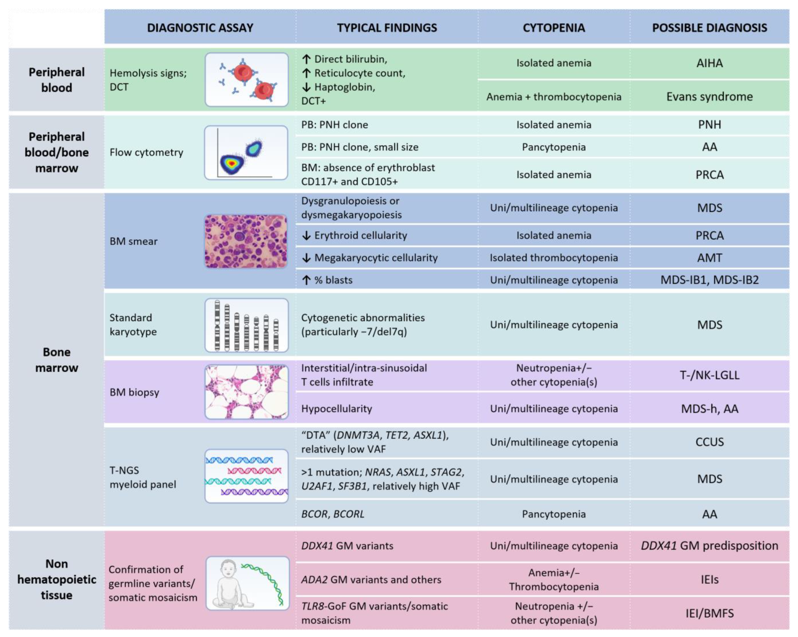 Cancers 14 05236 g003 Cancers 14 05236 g003