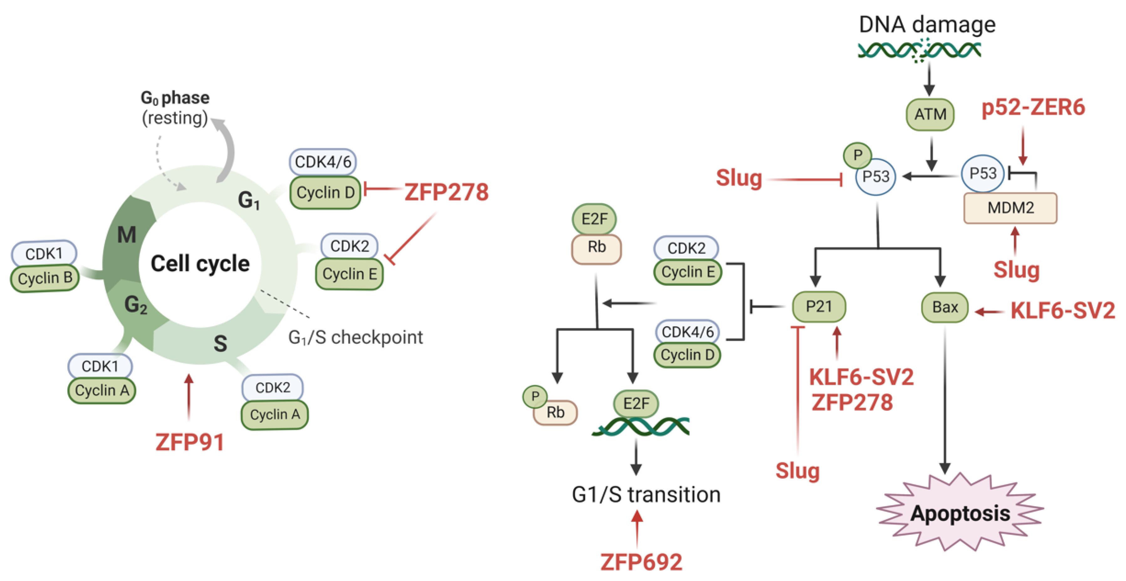 Cancers 14 05242 g002 Cancers 14 05242 g002
