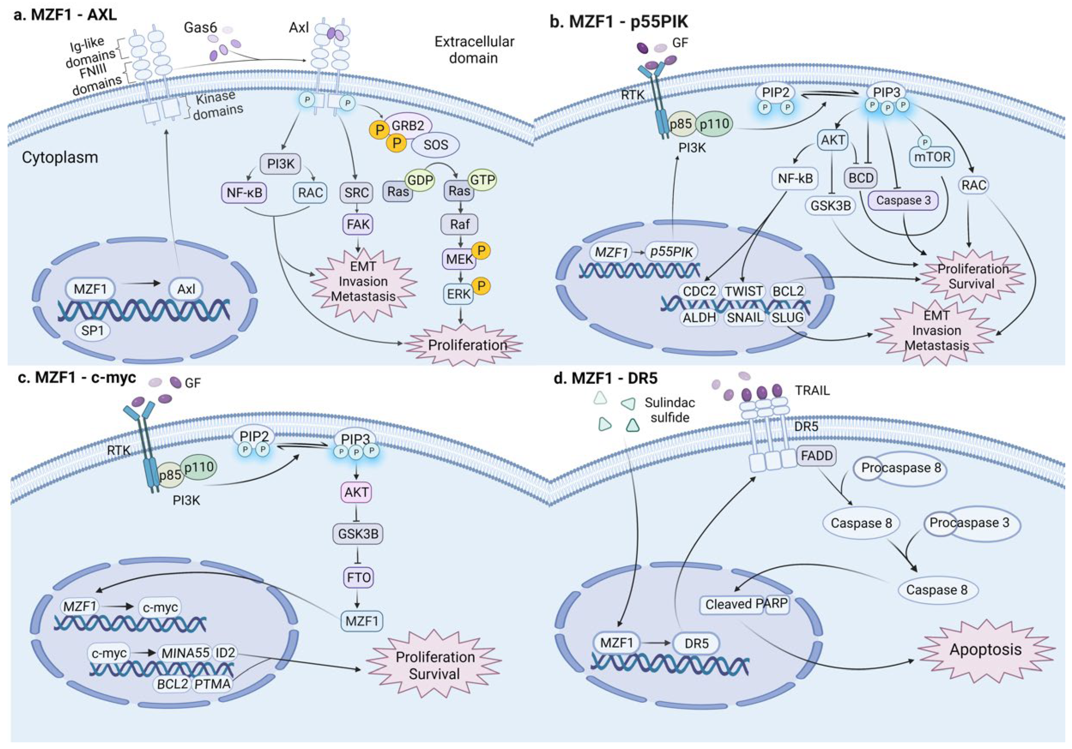 Cancers 14 05242 g003 Cancers 14 05242 g003