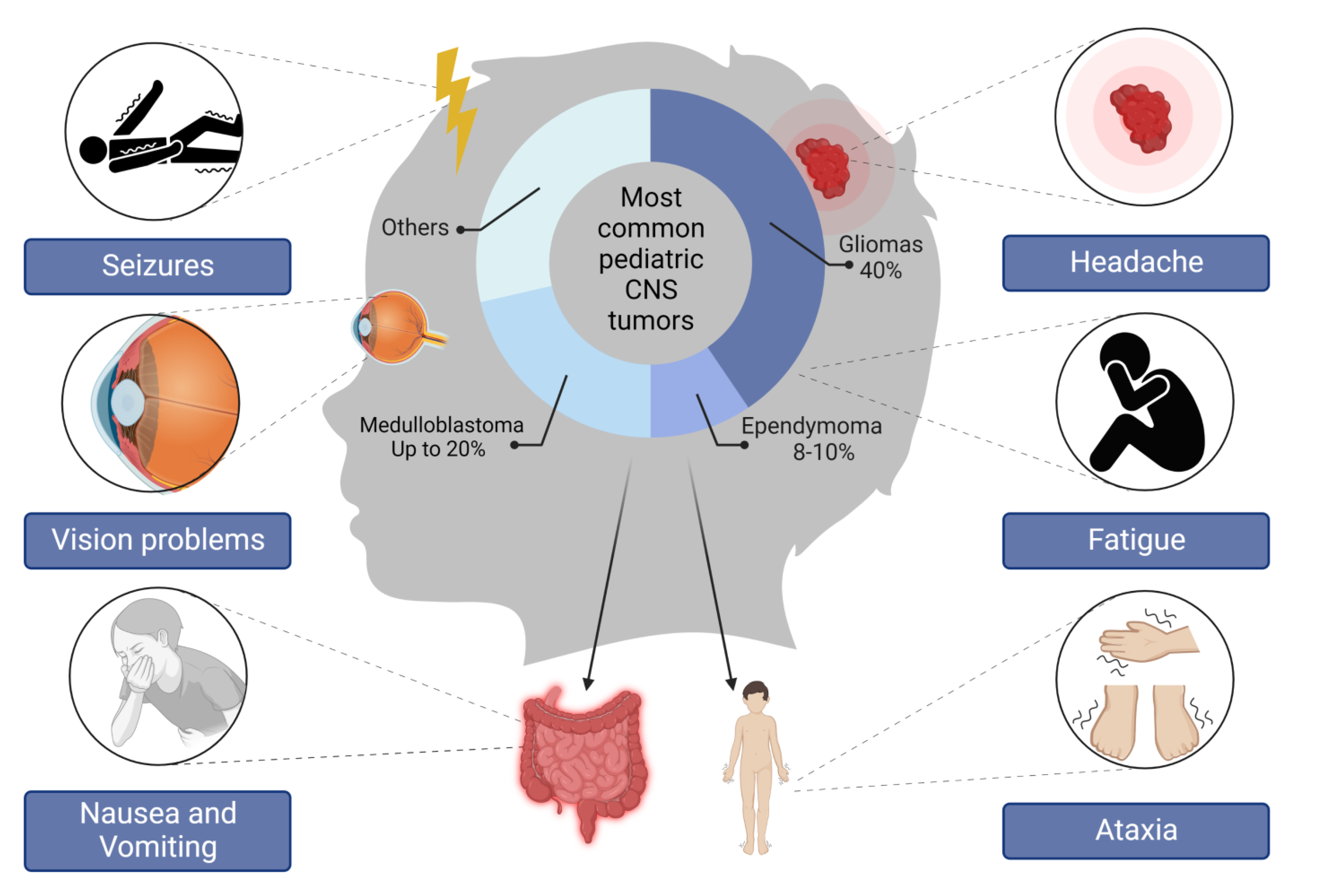 Cancers 14 05244 g001 Cancers 14 05244 g001