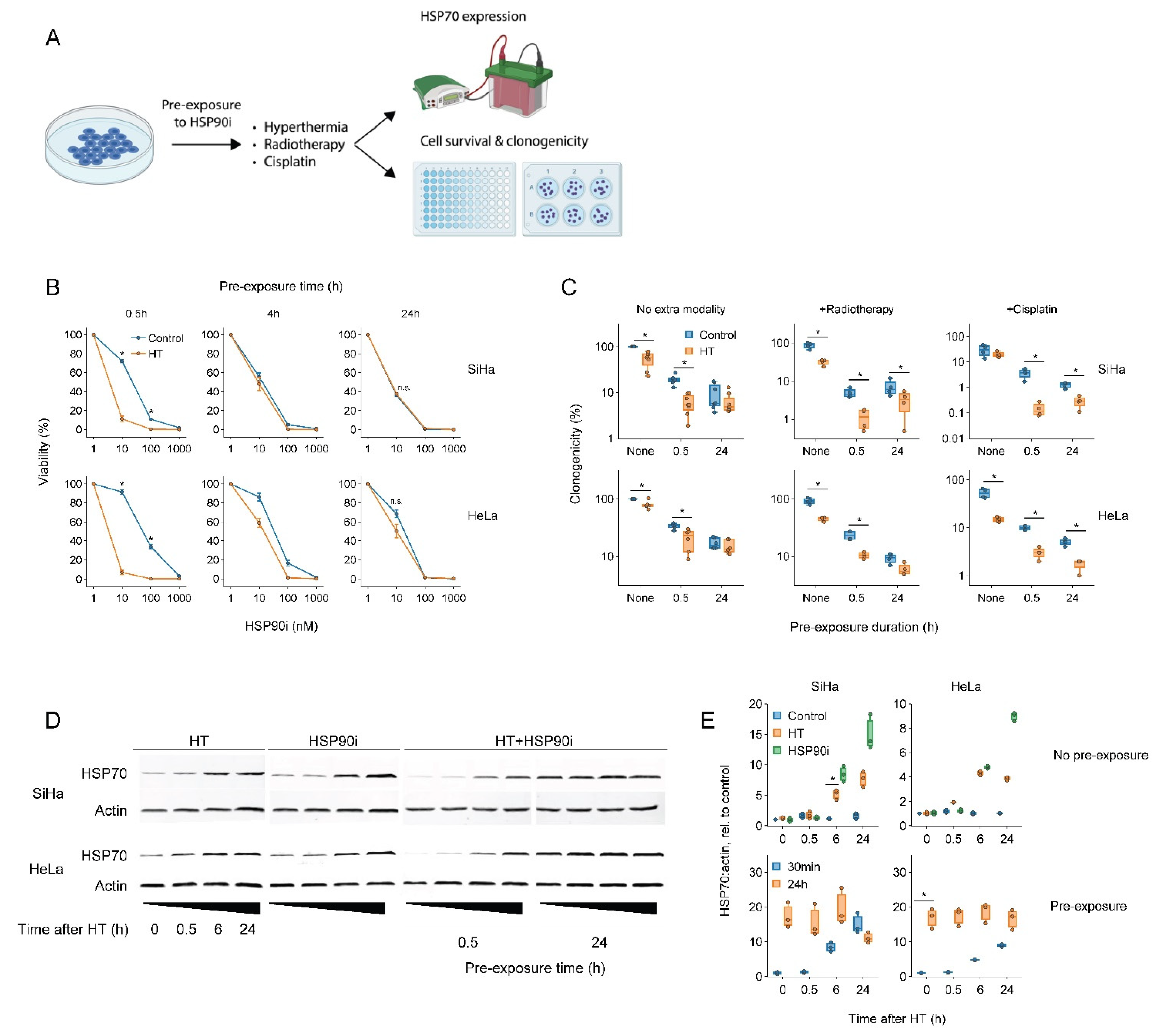 Cancers 14 05250 g001 Cancers 14 05250 g001