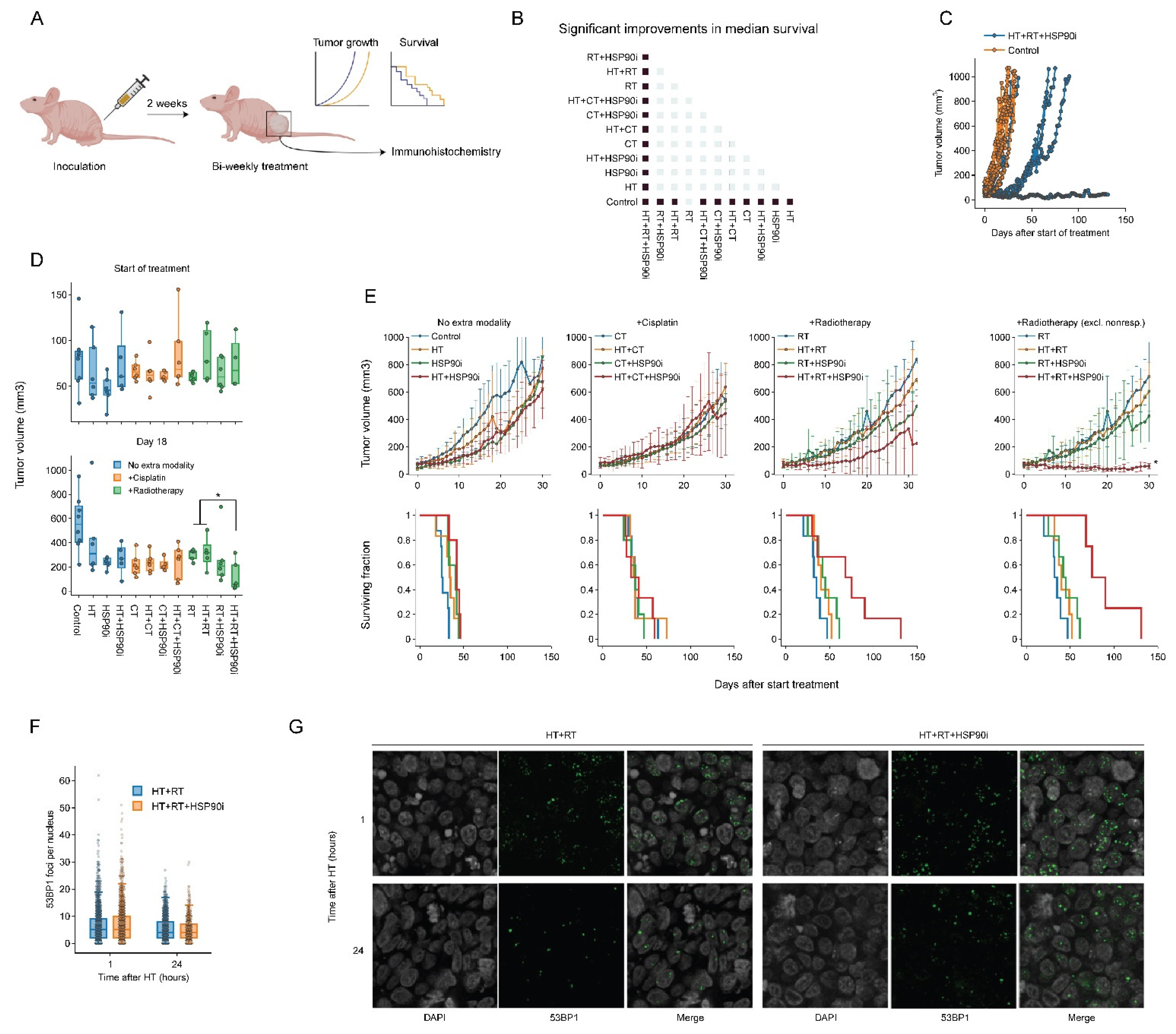Cancers 14 05250 g006 Cancers 14 05250 g006