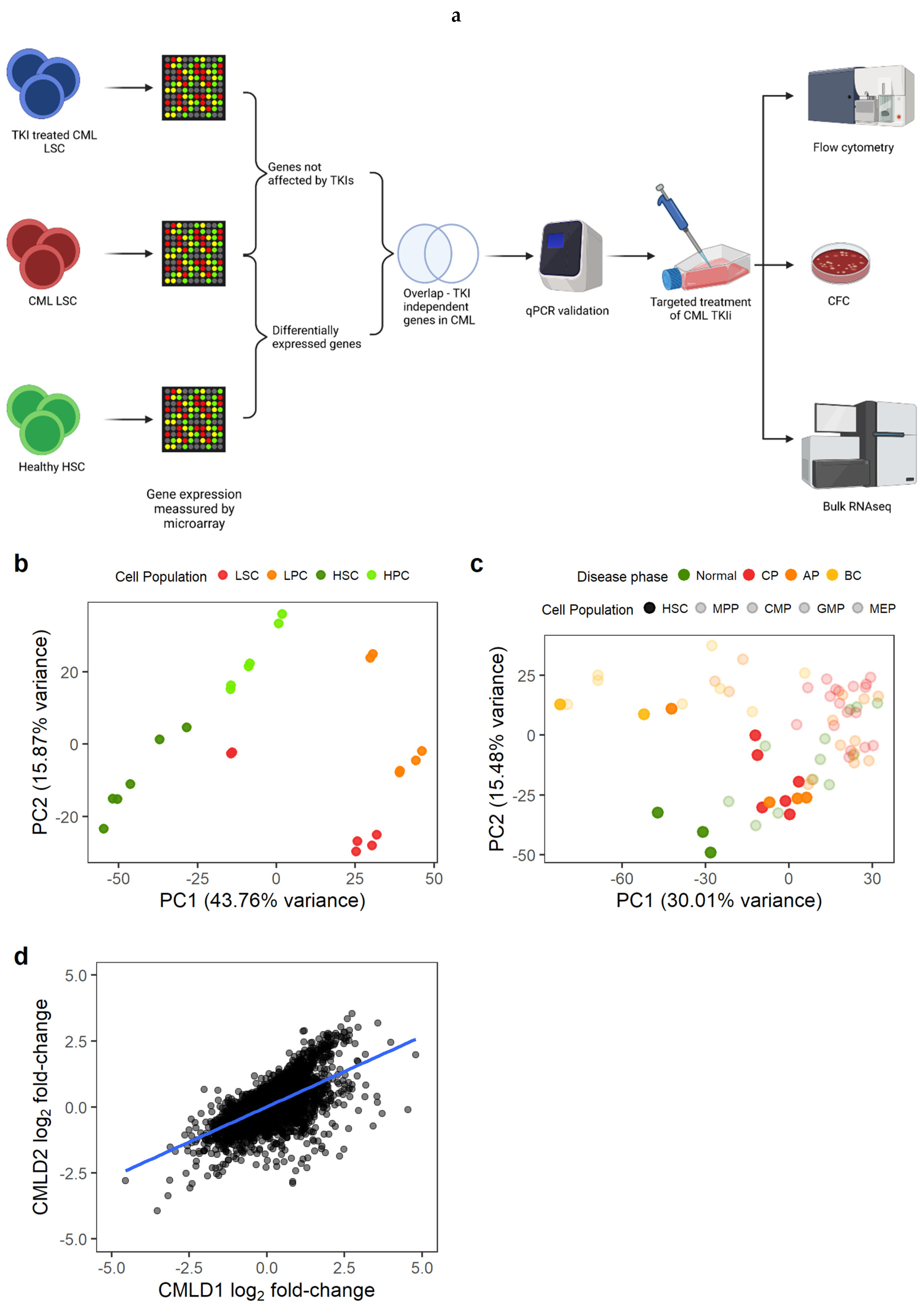 Cancers 14 05253 g001 Cancers 14 05253 g001