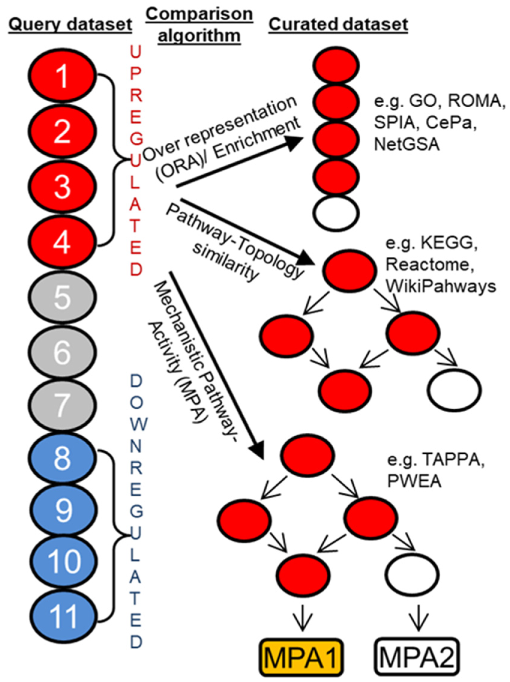 Cancers 14 05254 g005 Cancers 14 05254 g005