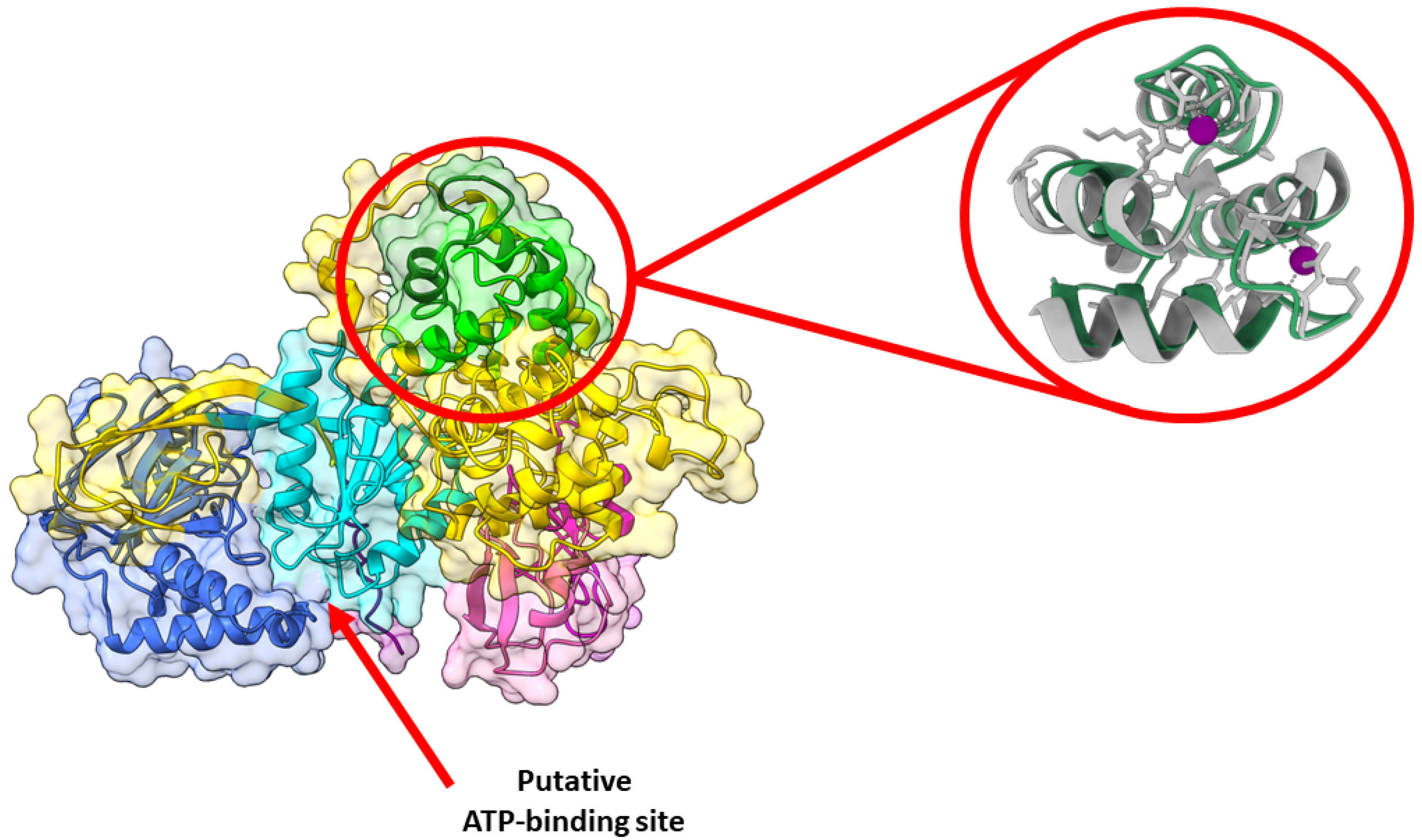 Cancers 14 05259 g003 Cancers 14 05259 g003