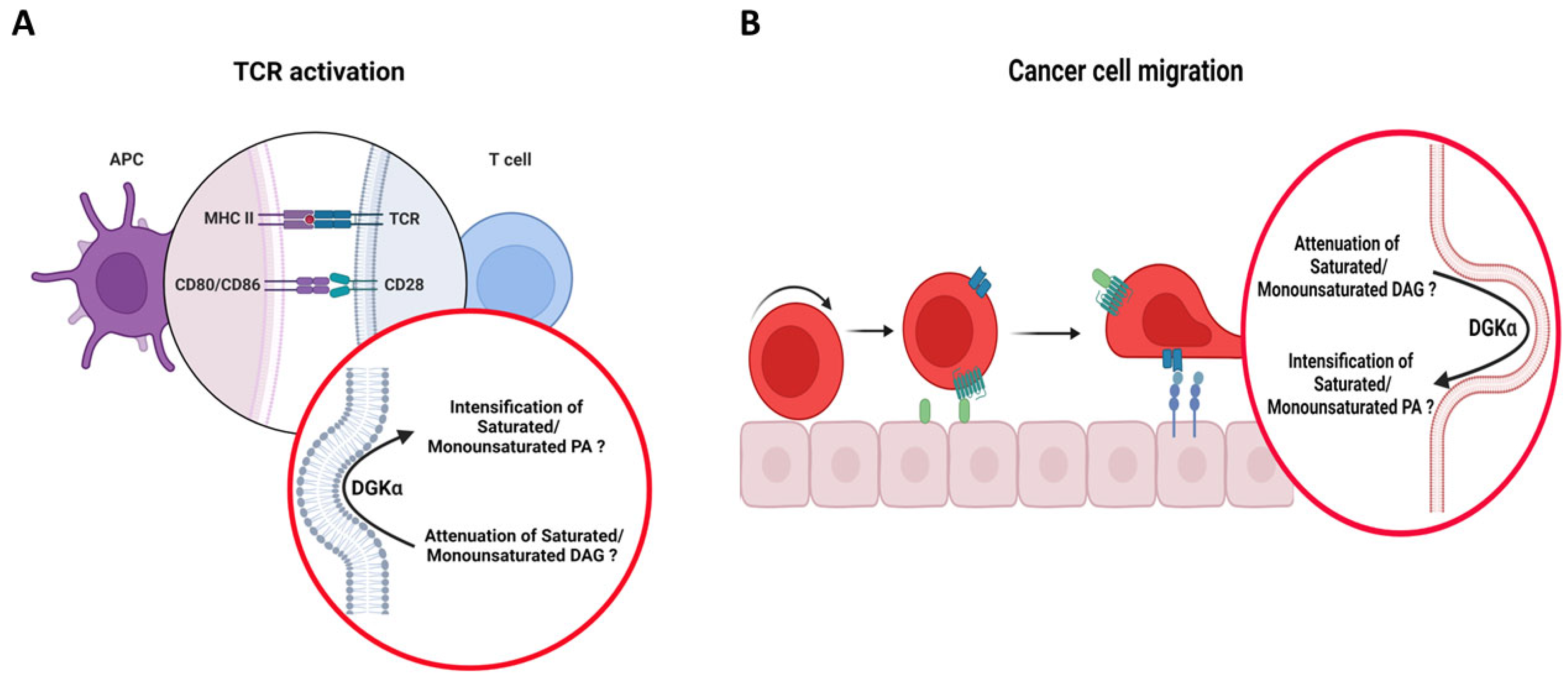 Cancers 14 05259 g005 Cancers 14 05259 g005