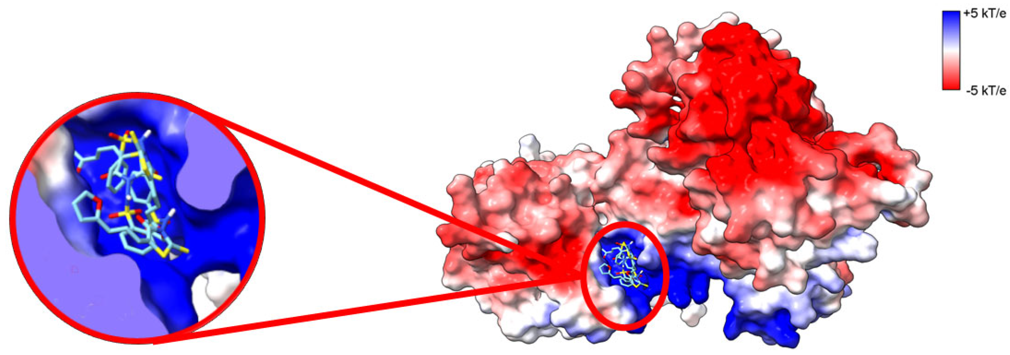 Cancers 14 05259 g006 Cancers 14 05259 g006