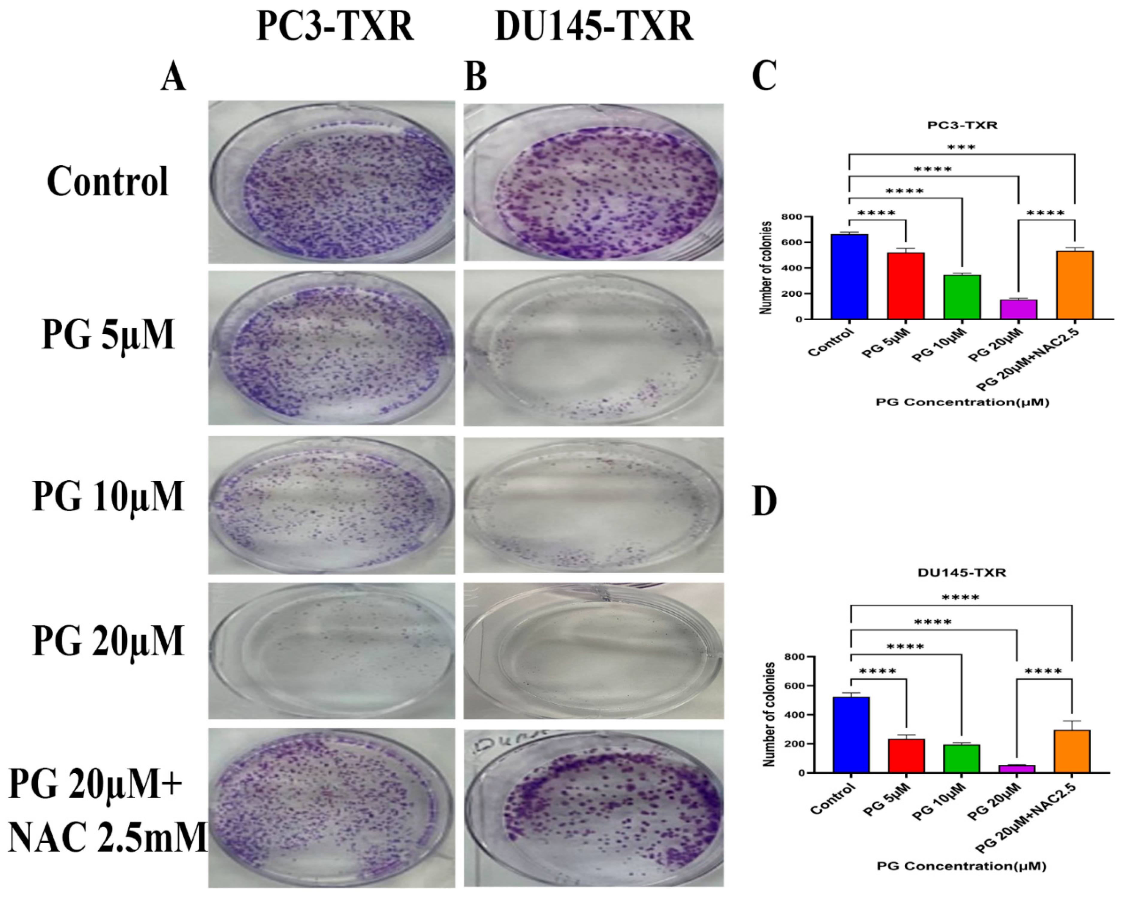 Cancers 14 05260 g003