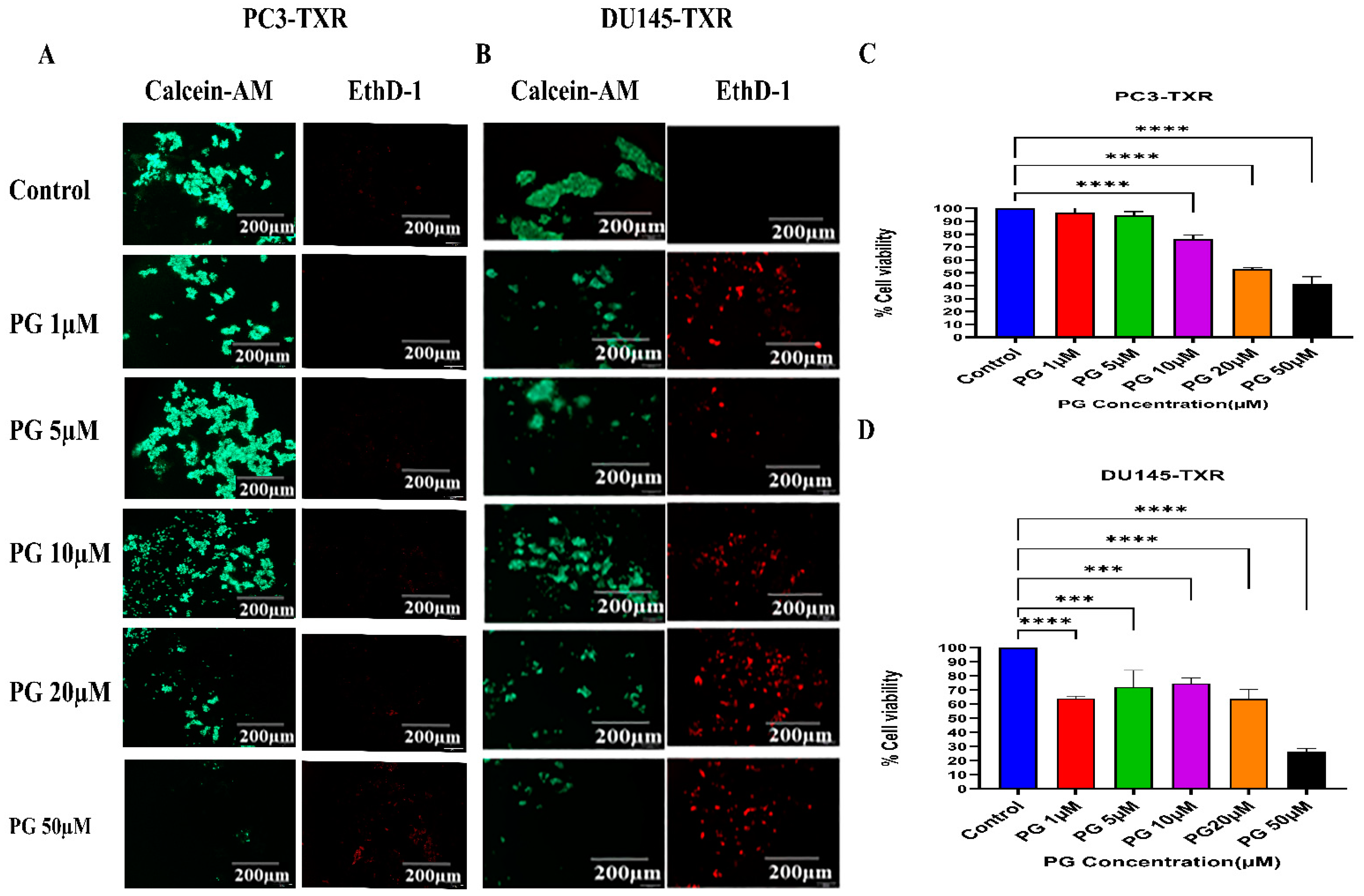Cancers 14 05260 g007