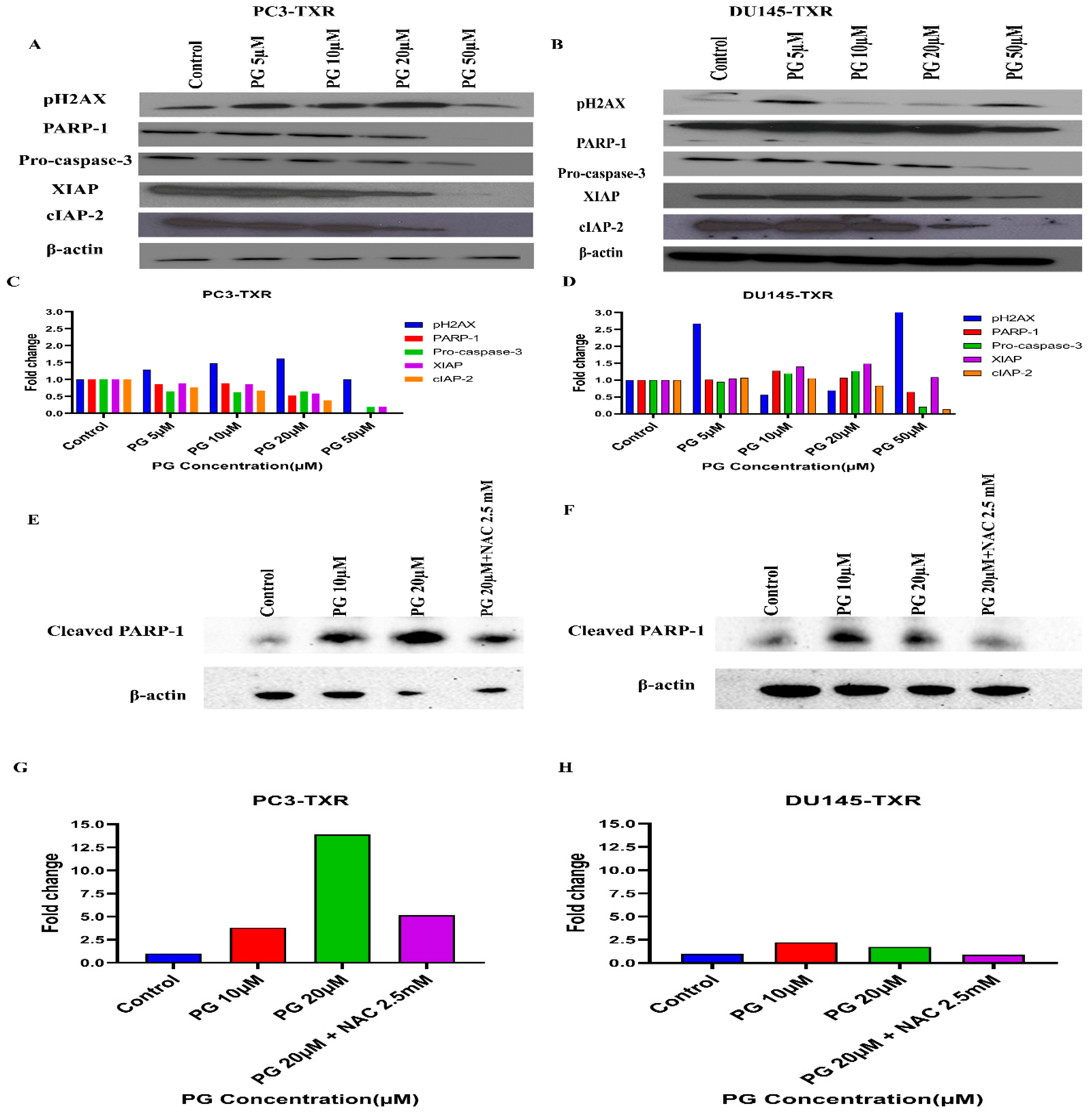 Cancers 14 05260 g013