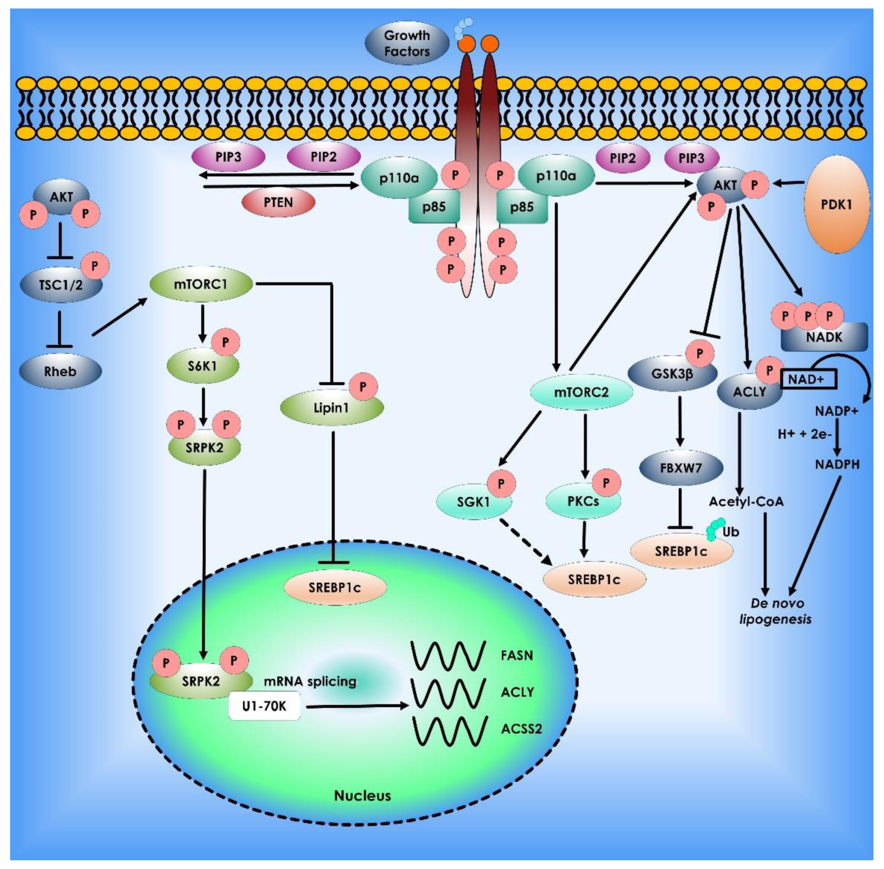 Cancers 14 05268 g003 Cancers 14 05268 g003