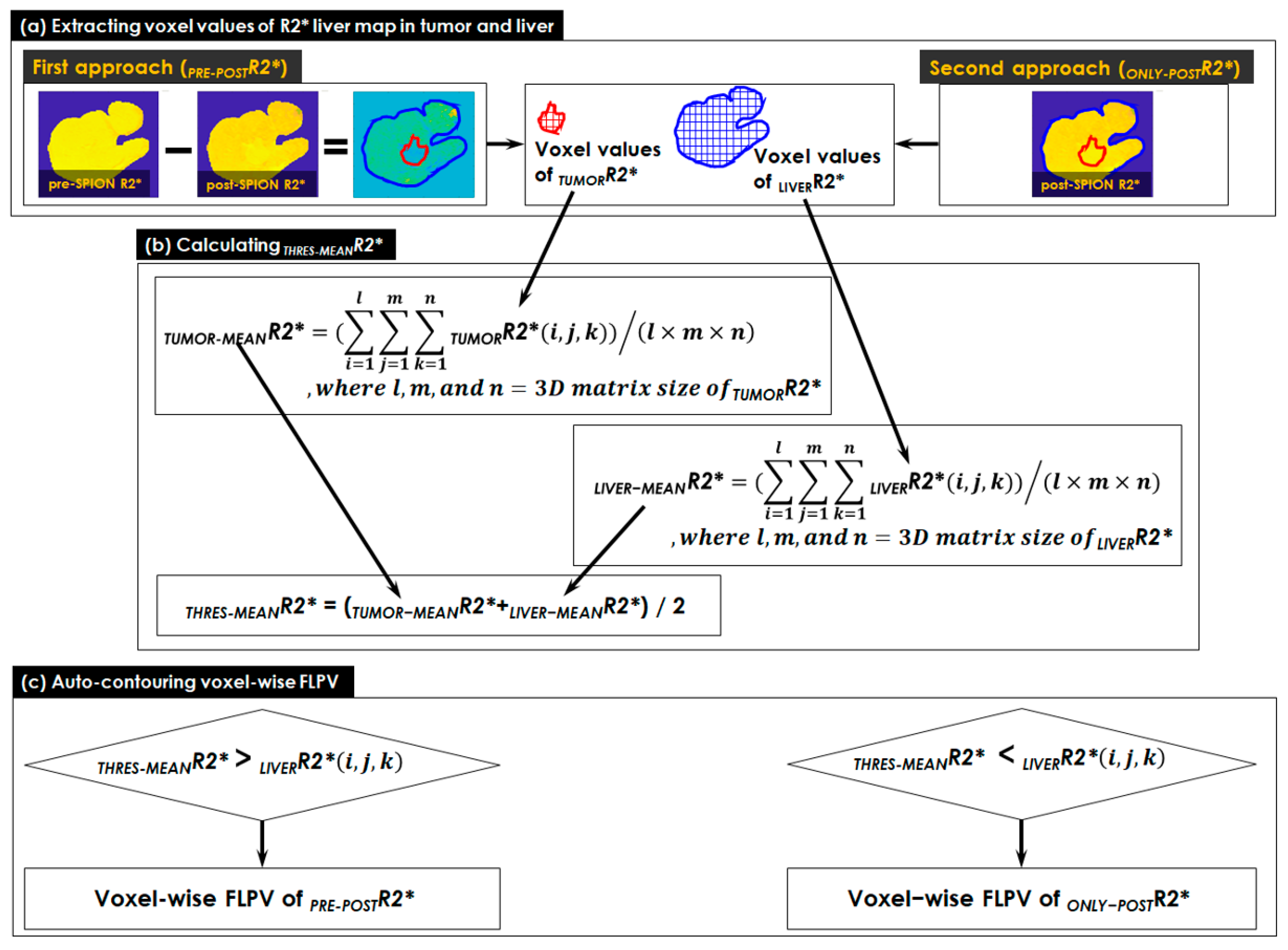 Cancers 14 05269 g002 Cancers 14 05269 g002