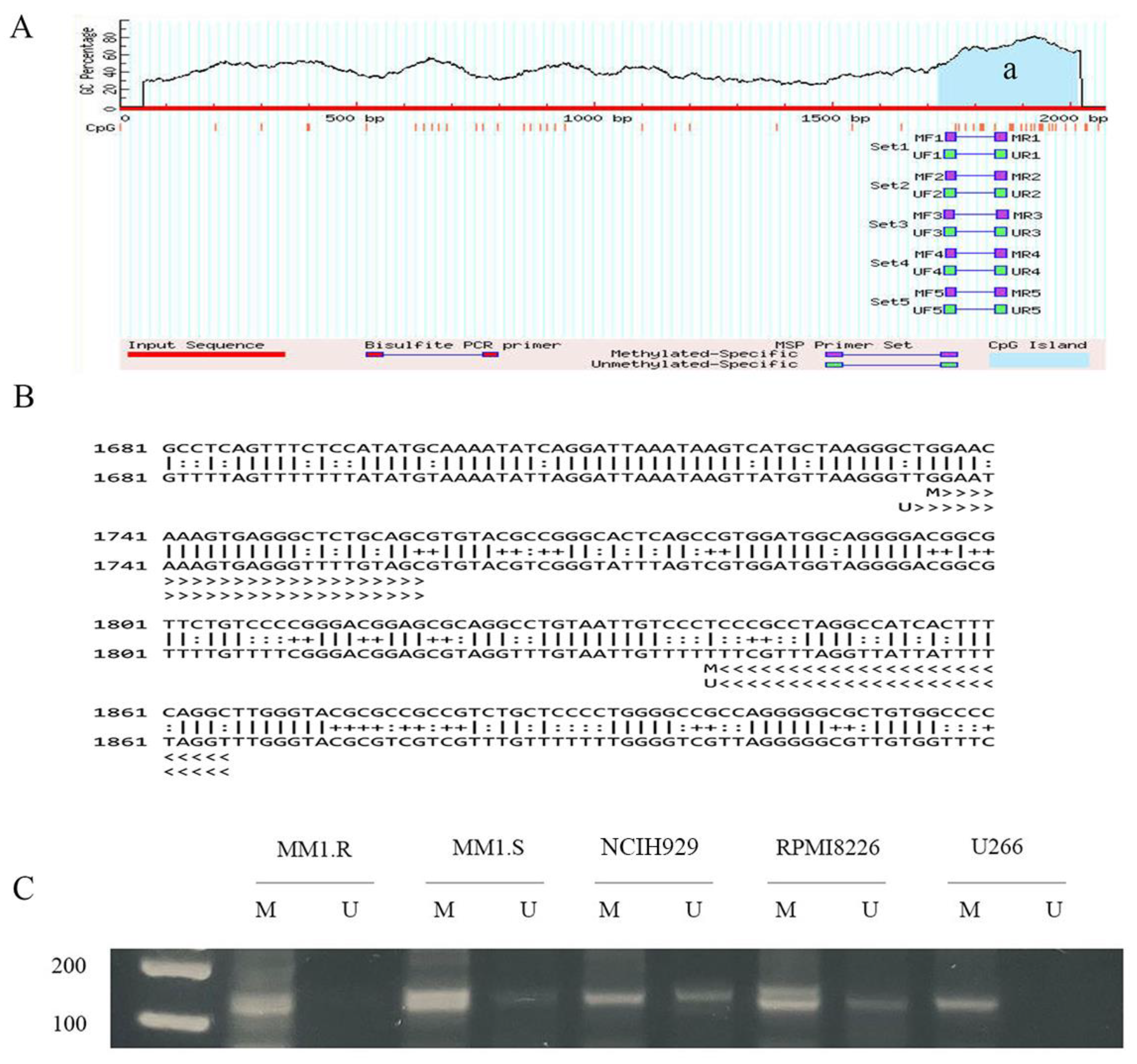 Cancers 14 05272 g001