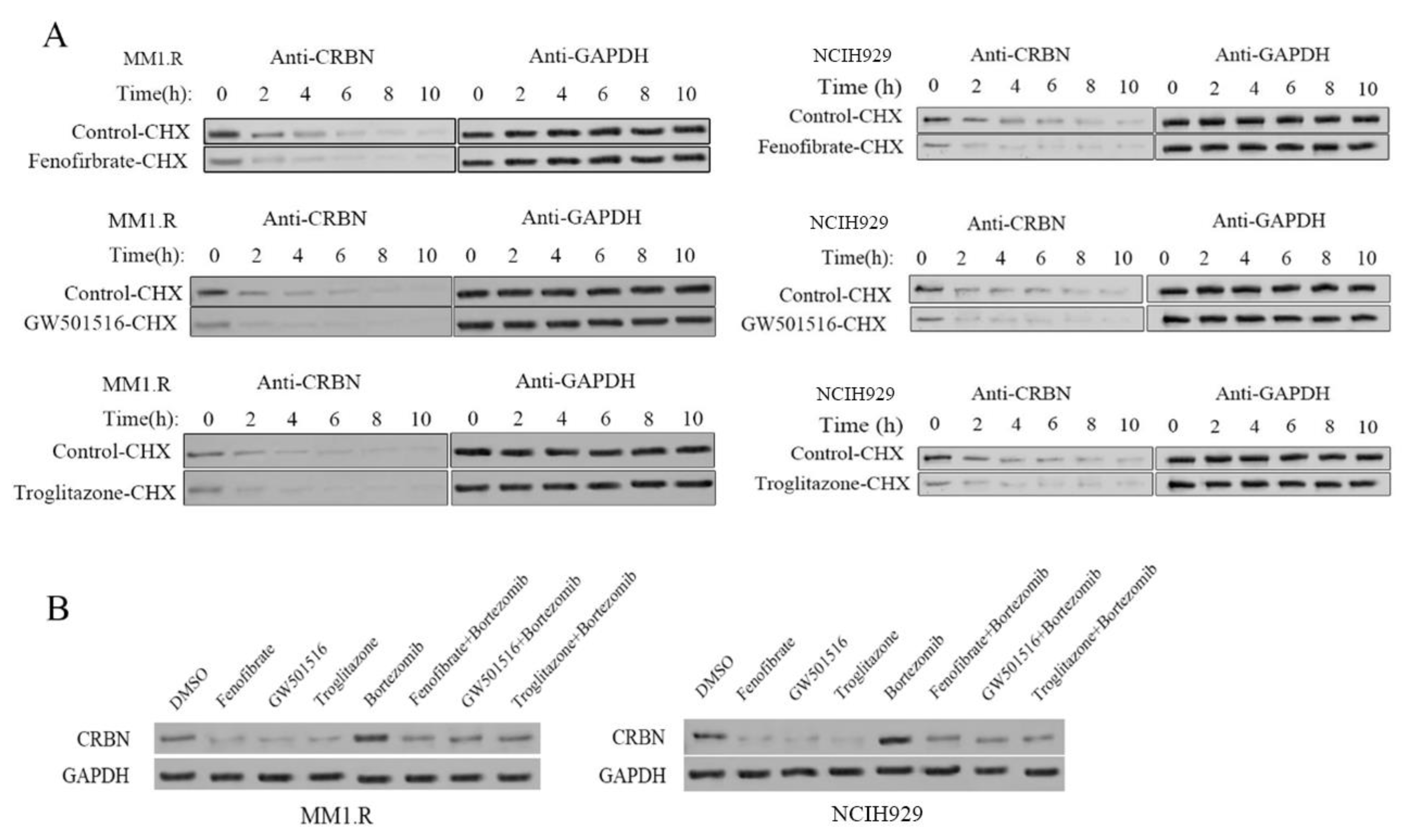 Cancers 14 05272 g003