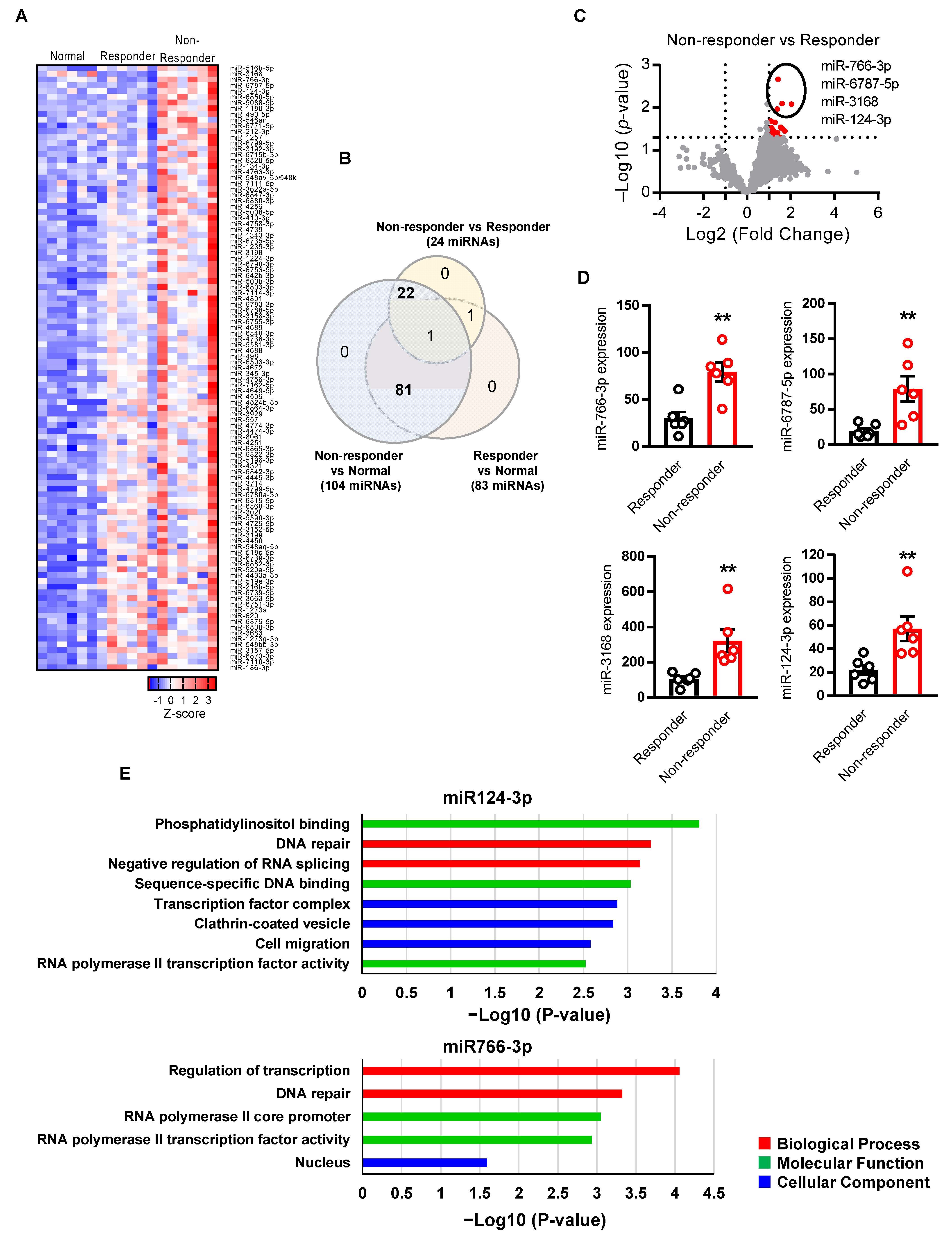 Cancers 14 05273 g001 Cancers 14 05273 g001