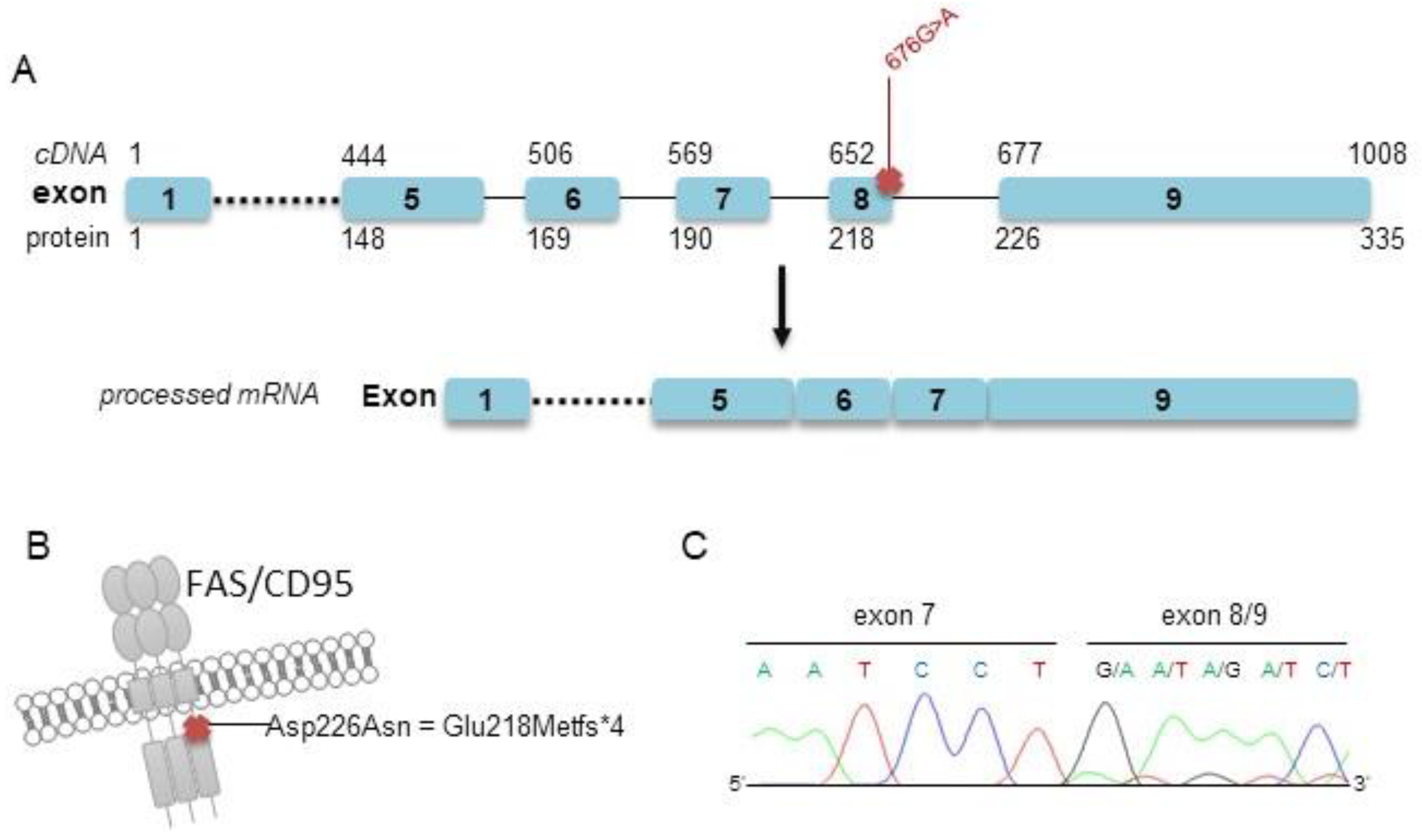 Cancers 14 05274 g002 Cancers 14 05274 g002