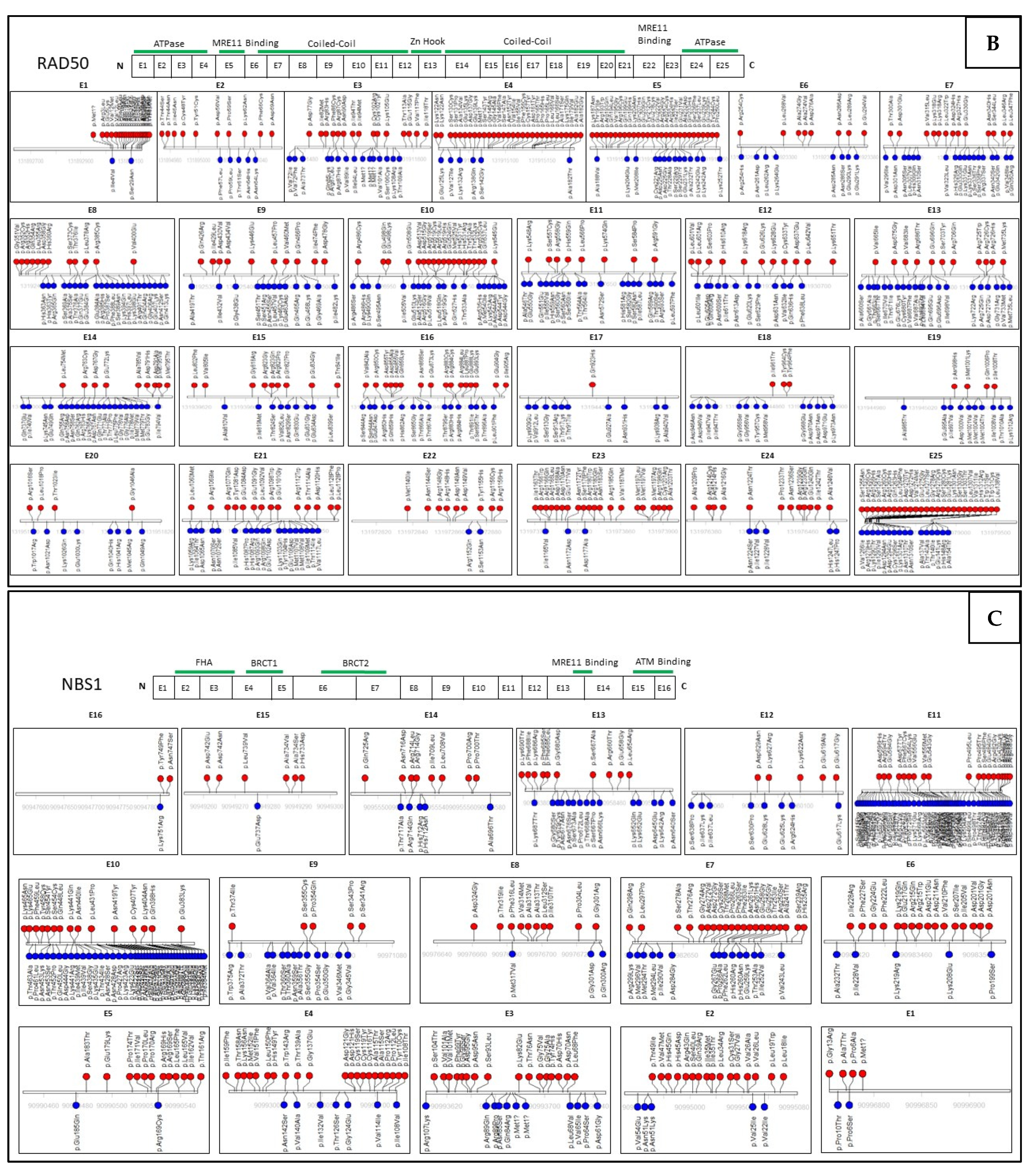 Cancers 14 05278 g004b Cancers 14 05278 g004b