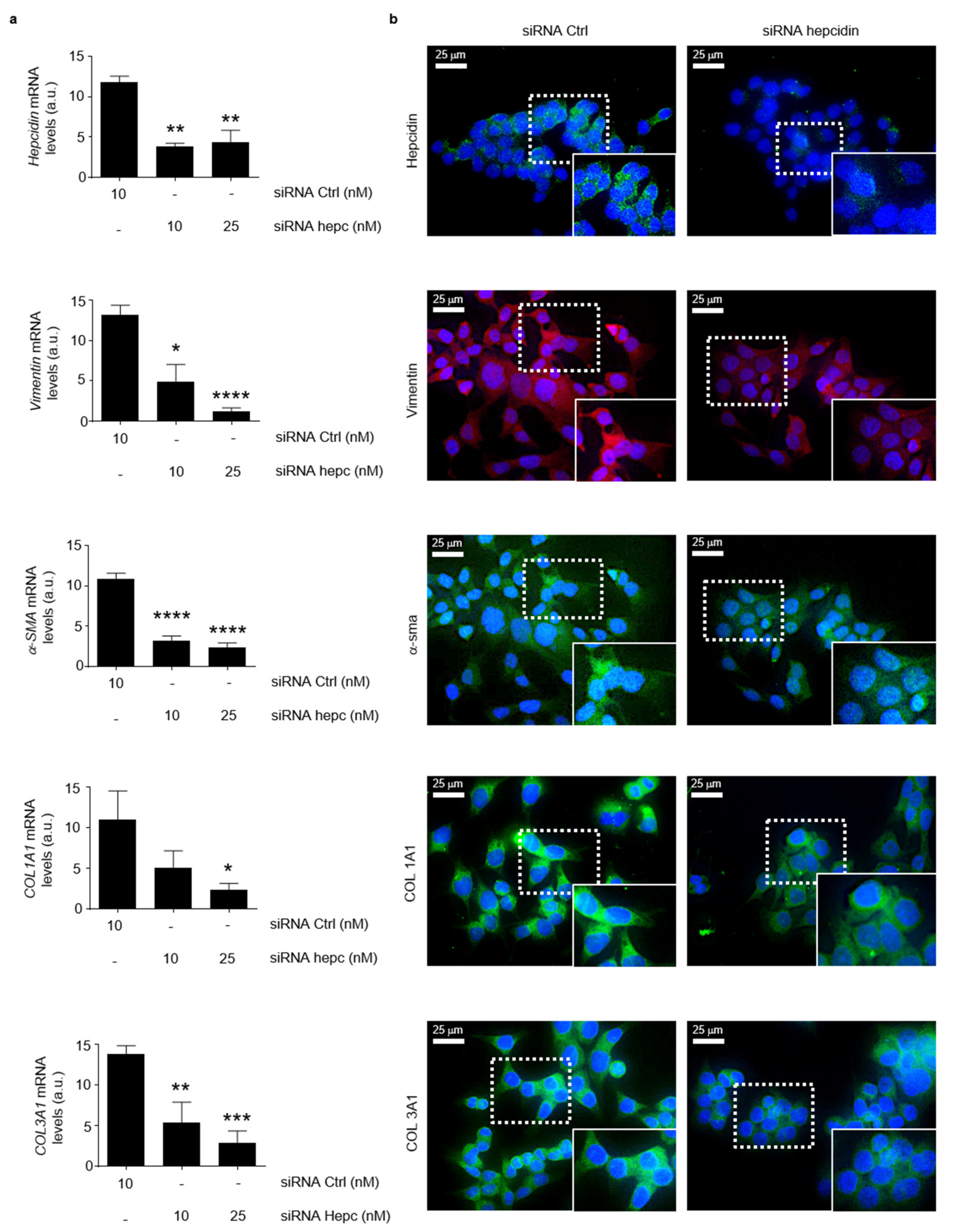 Cancers 14 05294 g008 550