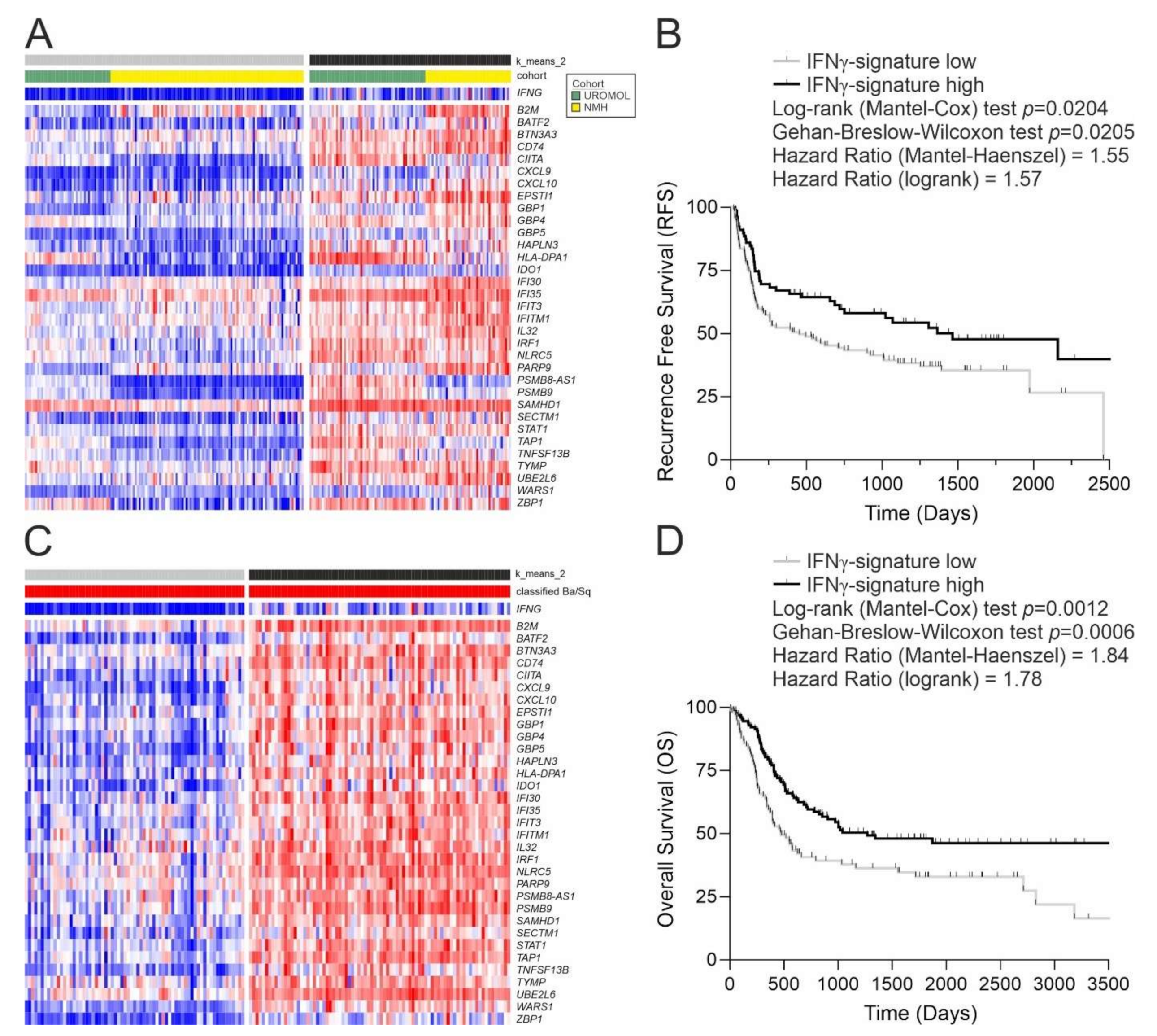 Cancers 14 05295 g002