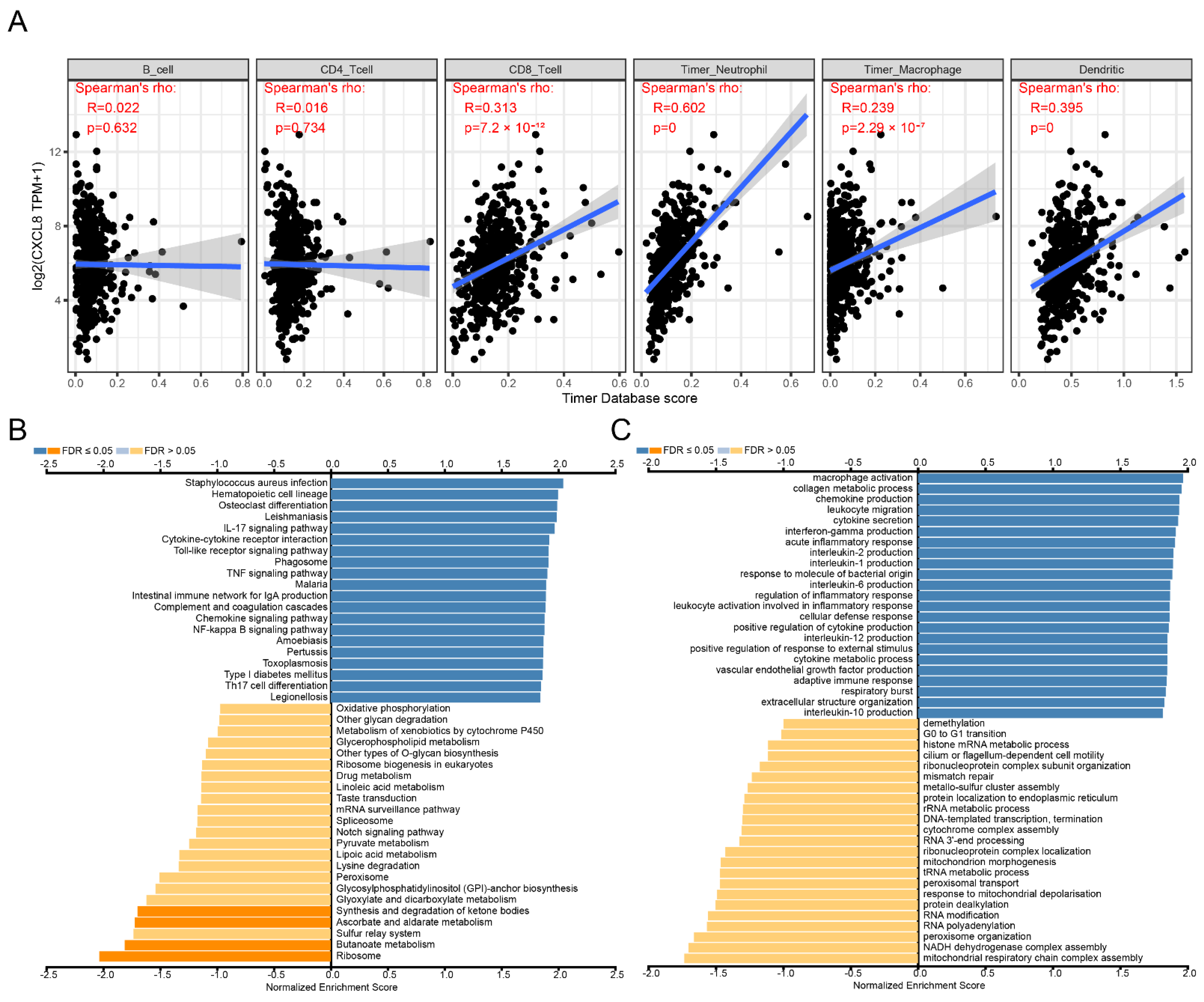 Cancers 14 05300 g002