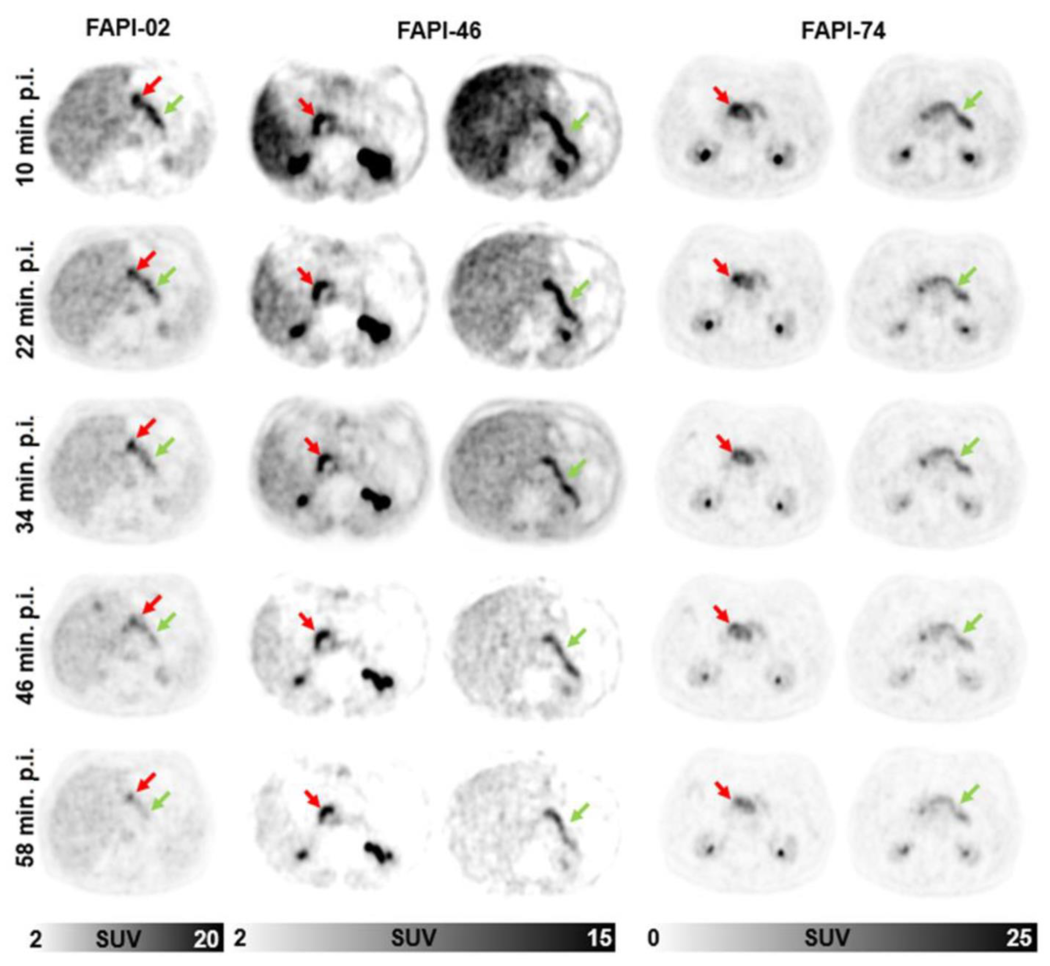 Cancers 14 05301 g005 Cancers 14 05301 g005