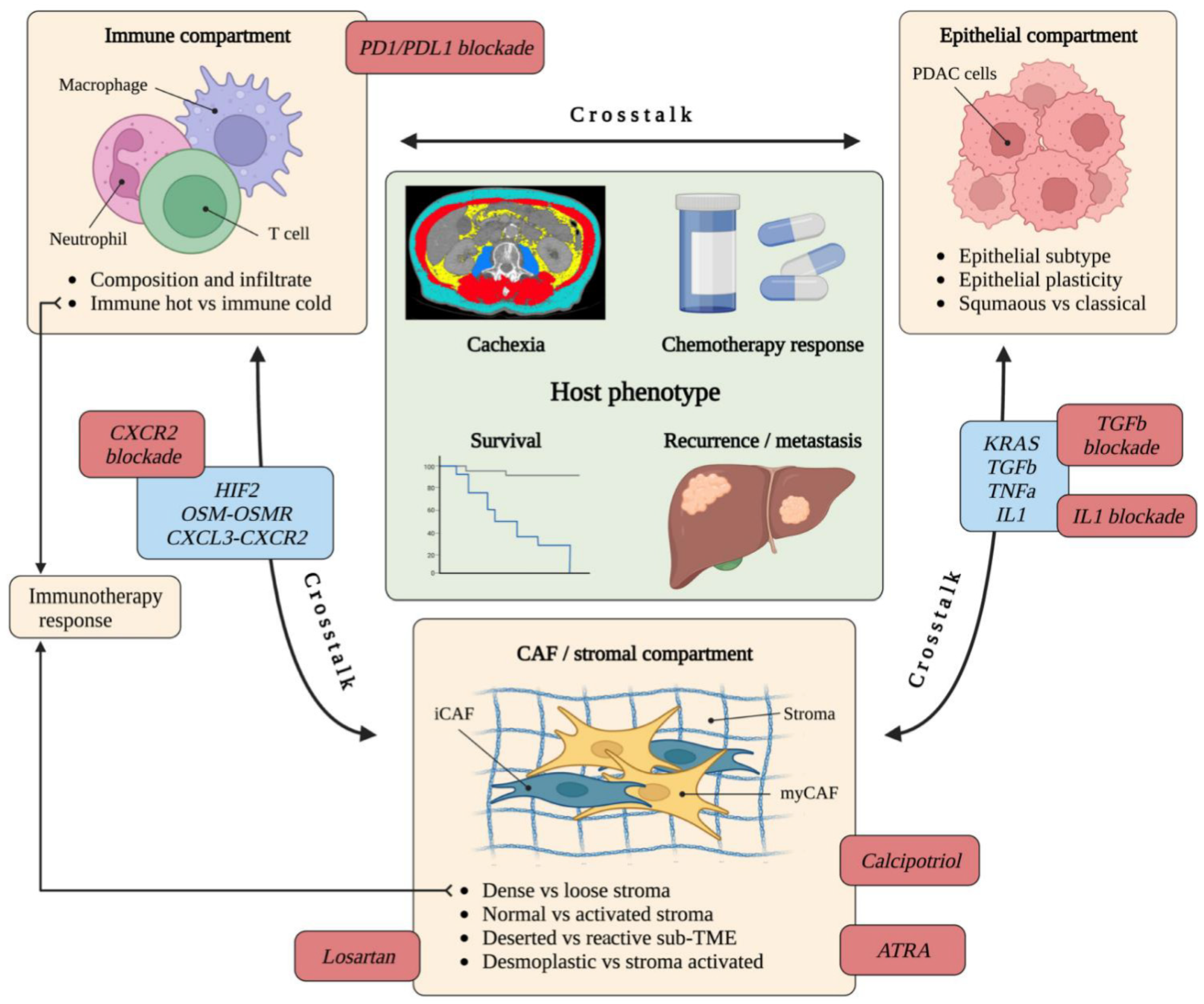 Cancers 14 05302 g004