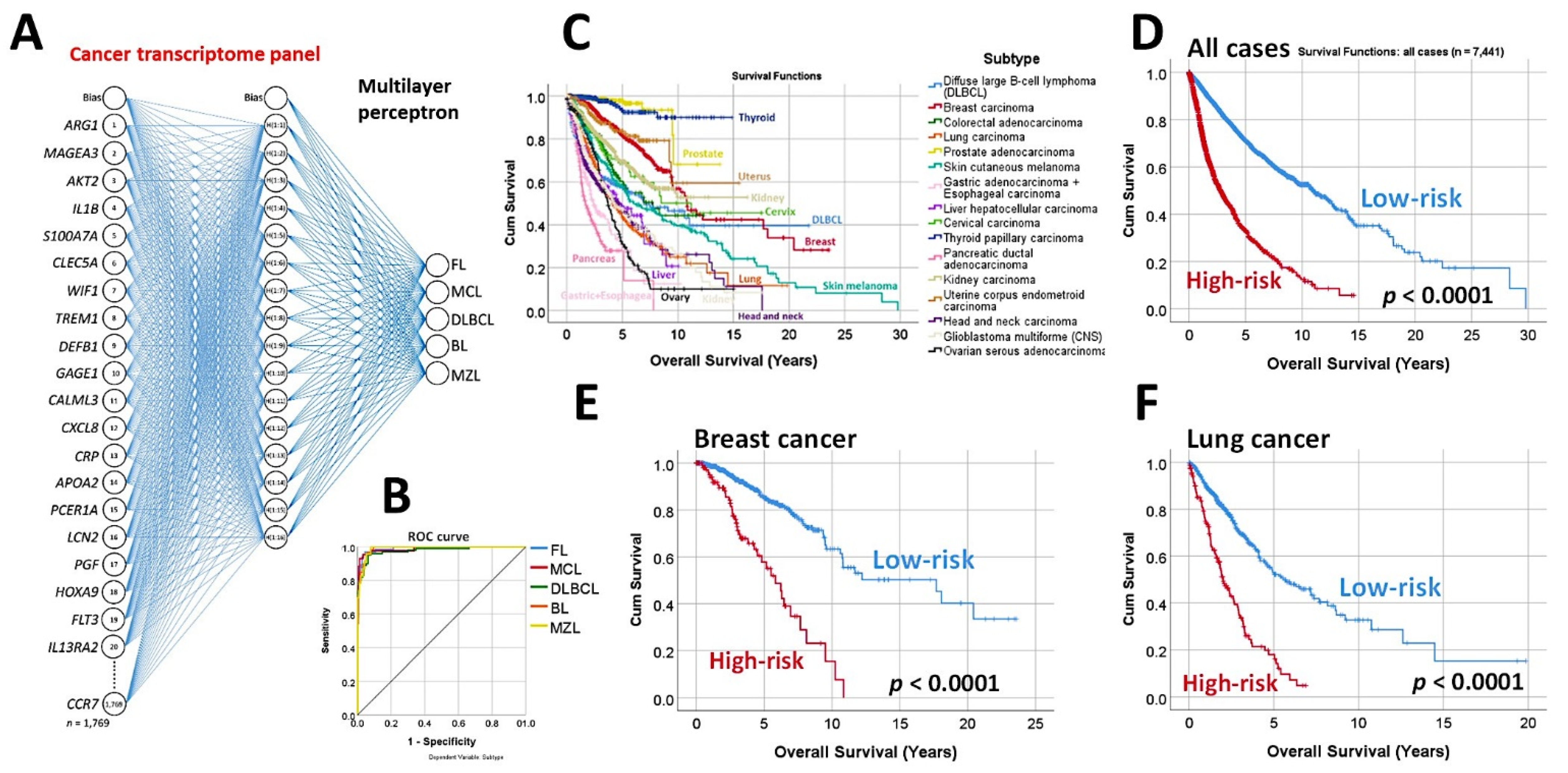 Cancers 14 05318 g004 Cancers 14 05318 g004