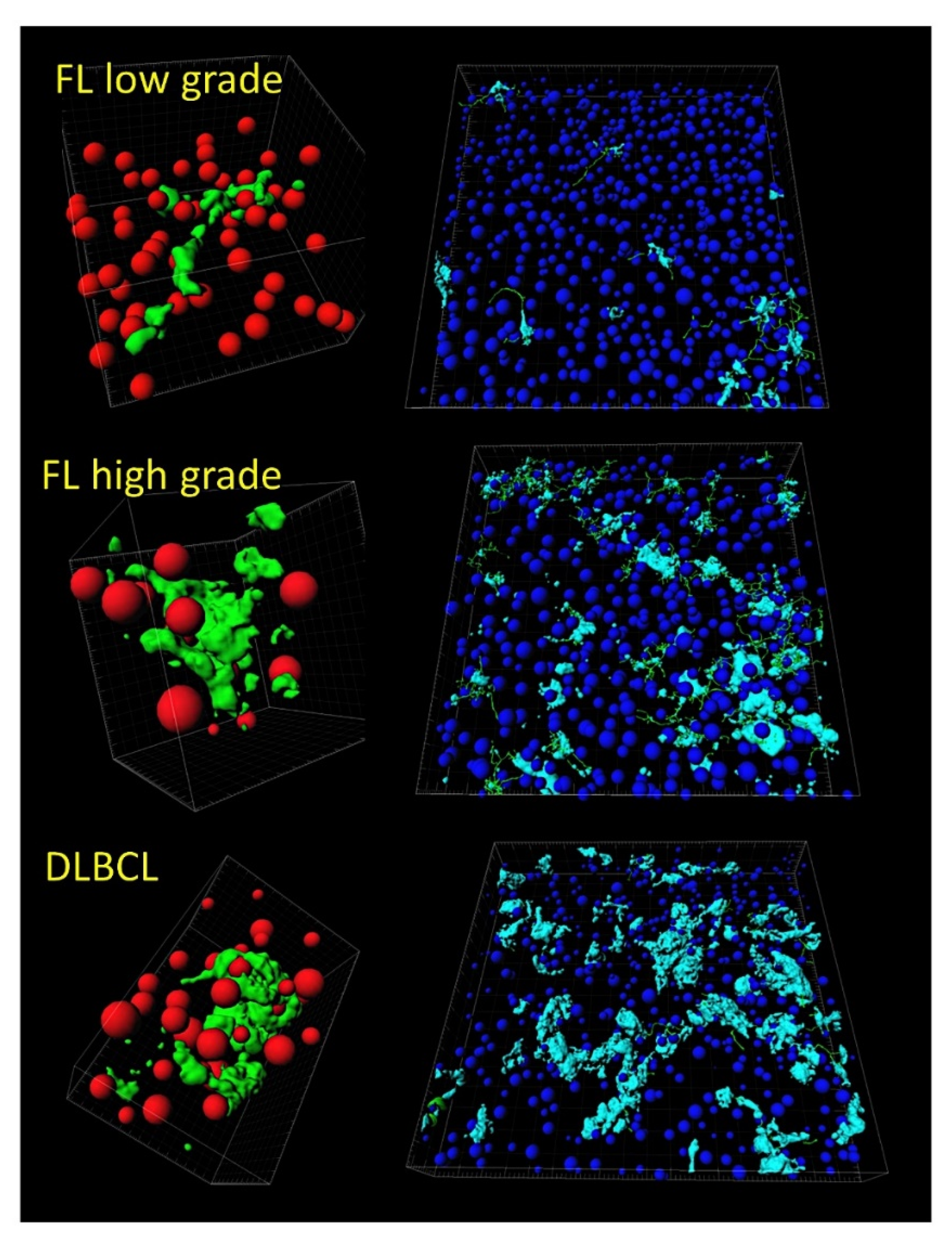 Cancers 14 05318 g007 Cancers 14 05318 g007