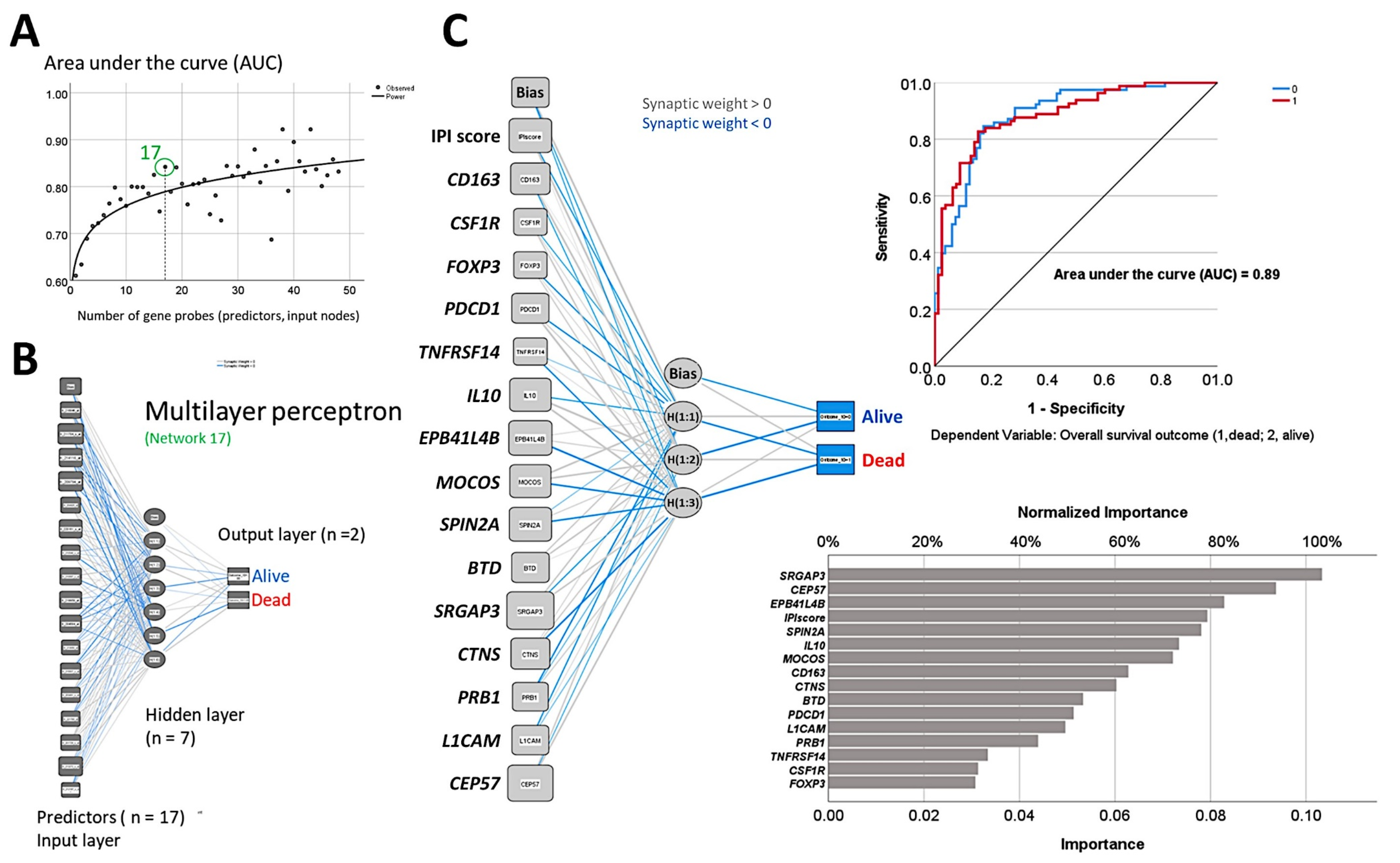 Cancers 14 05318 g008 Cancers 14 05318 g008