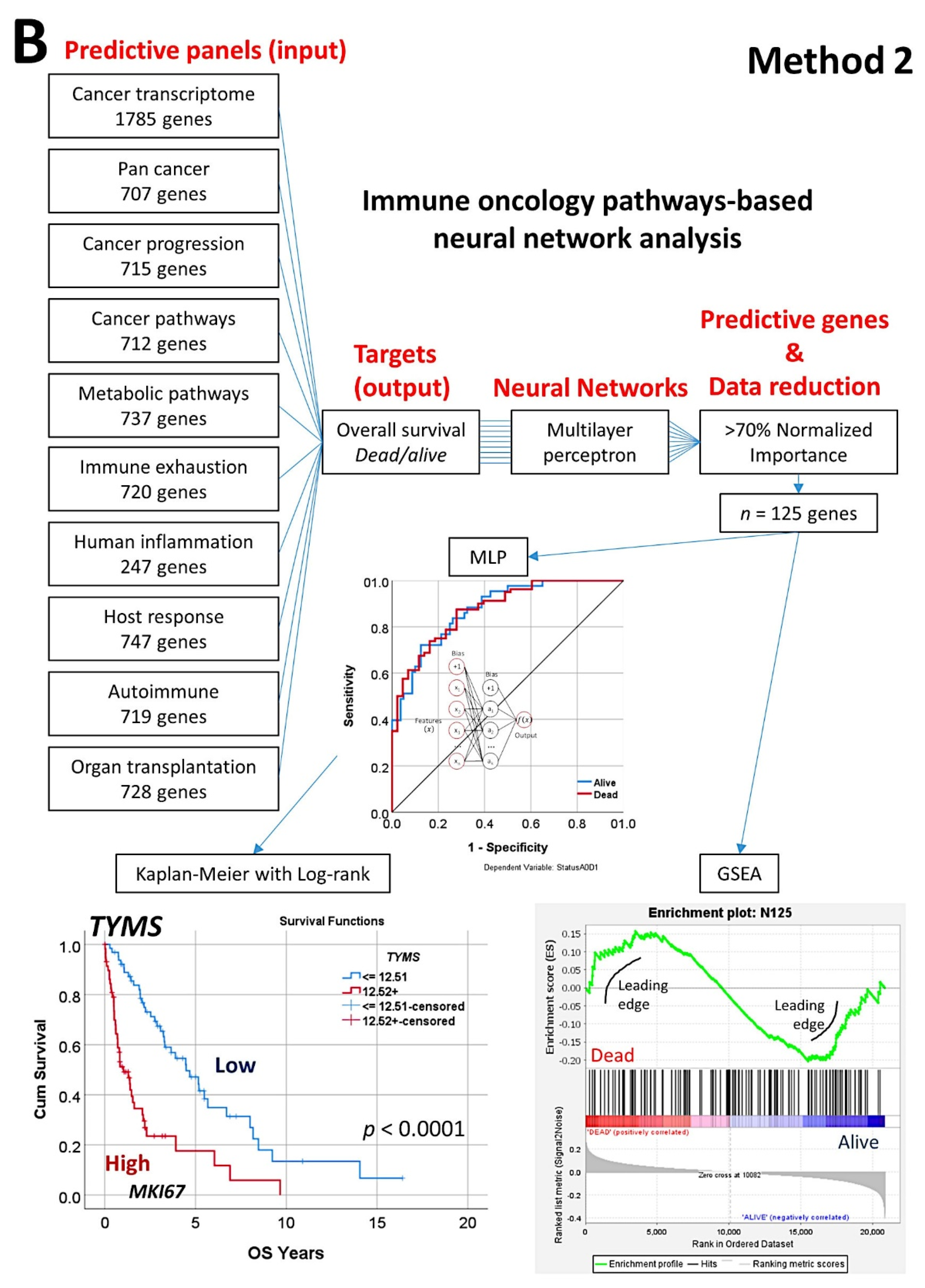 Cancers 14 05318 g009b Cancers 14 05318 g009b