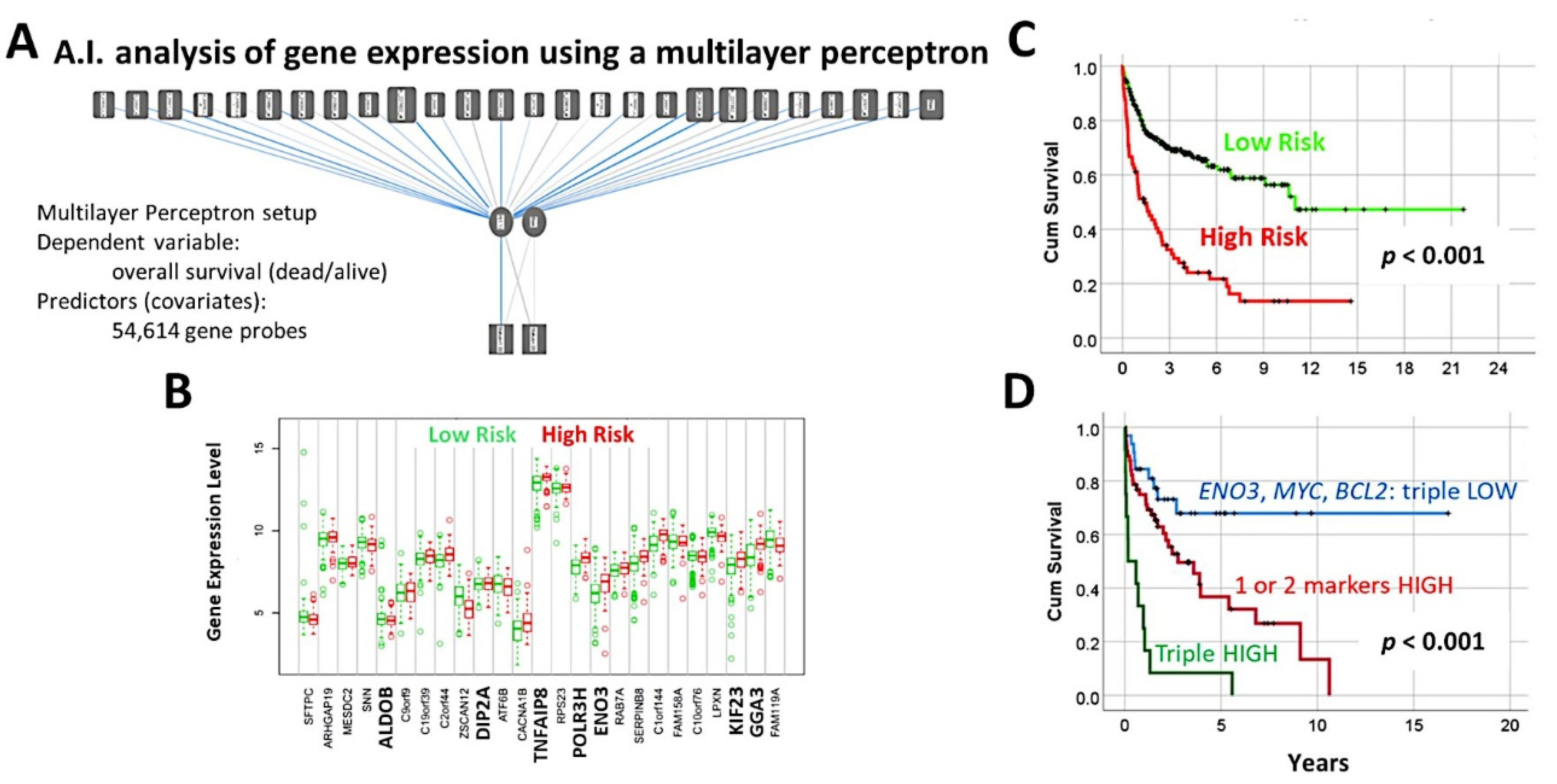Cancers 14 05318 g010 Cancers 14 05318 g010