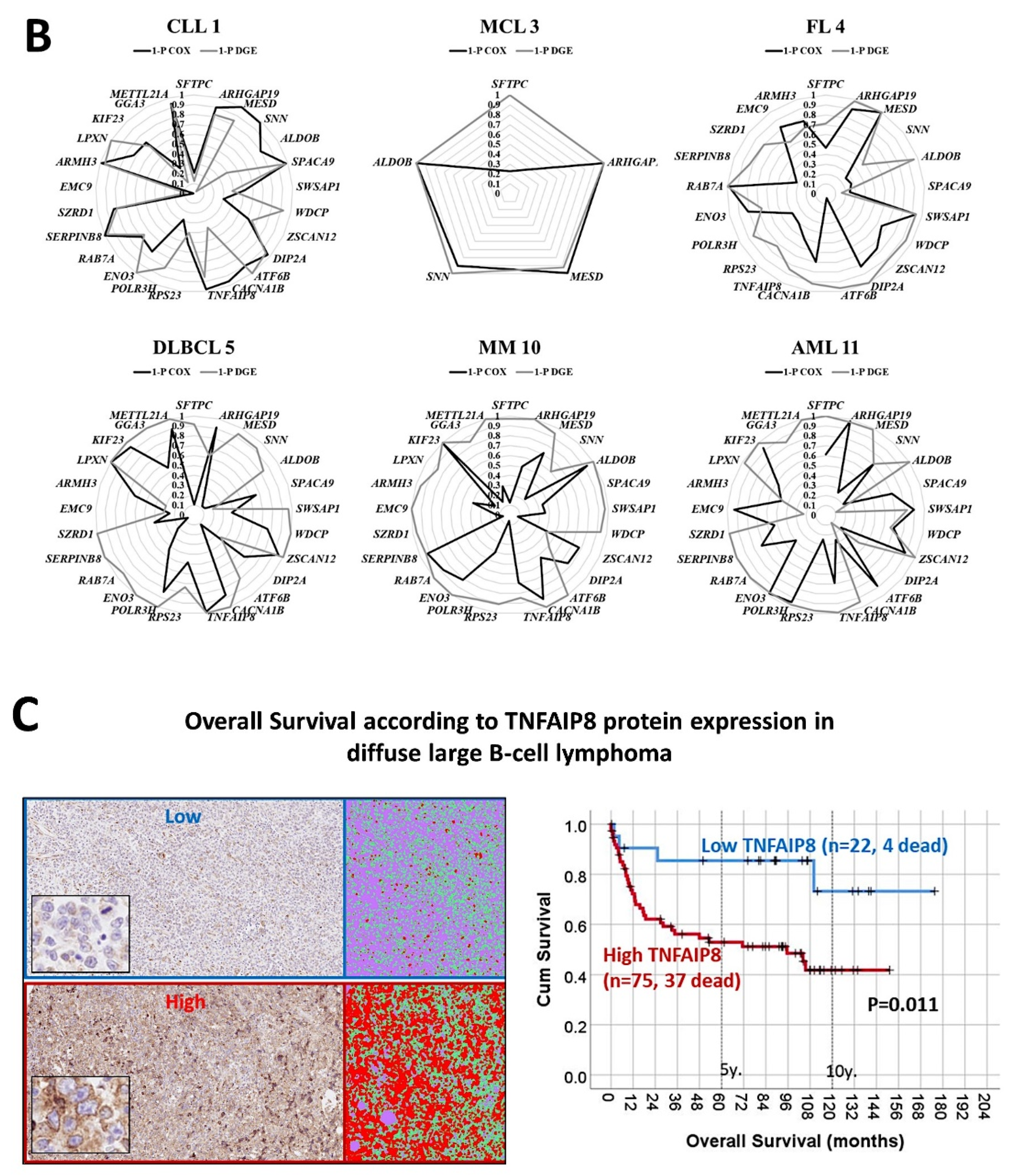 Cancers 14 05318 g012b Cancers 14 05318 g012b