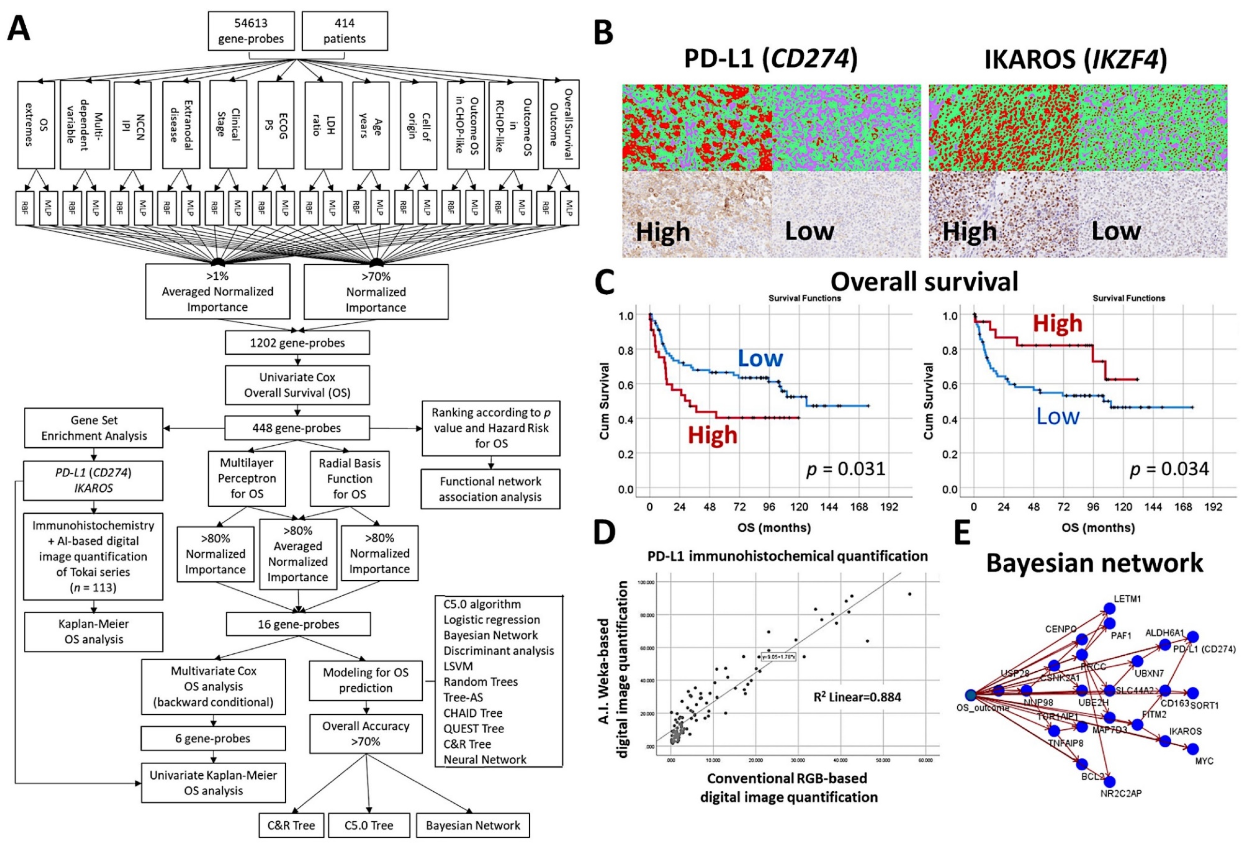 Cancers 14 05318 g015 Cancers 14 05318 g015