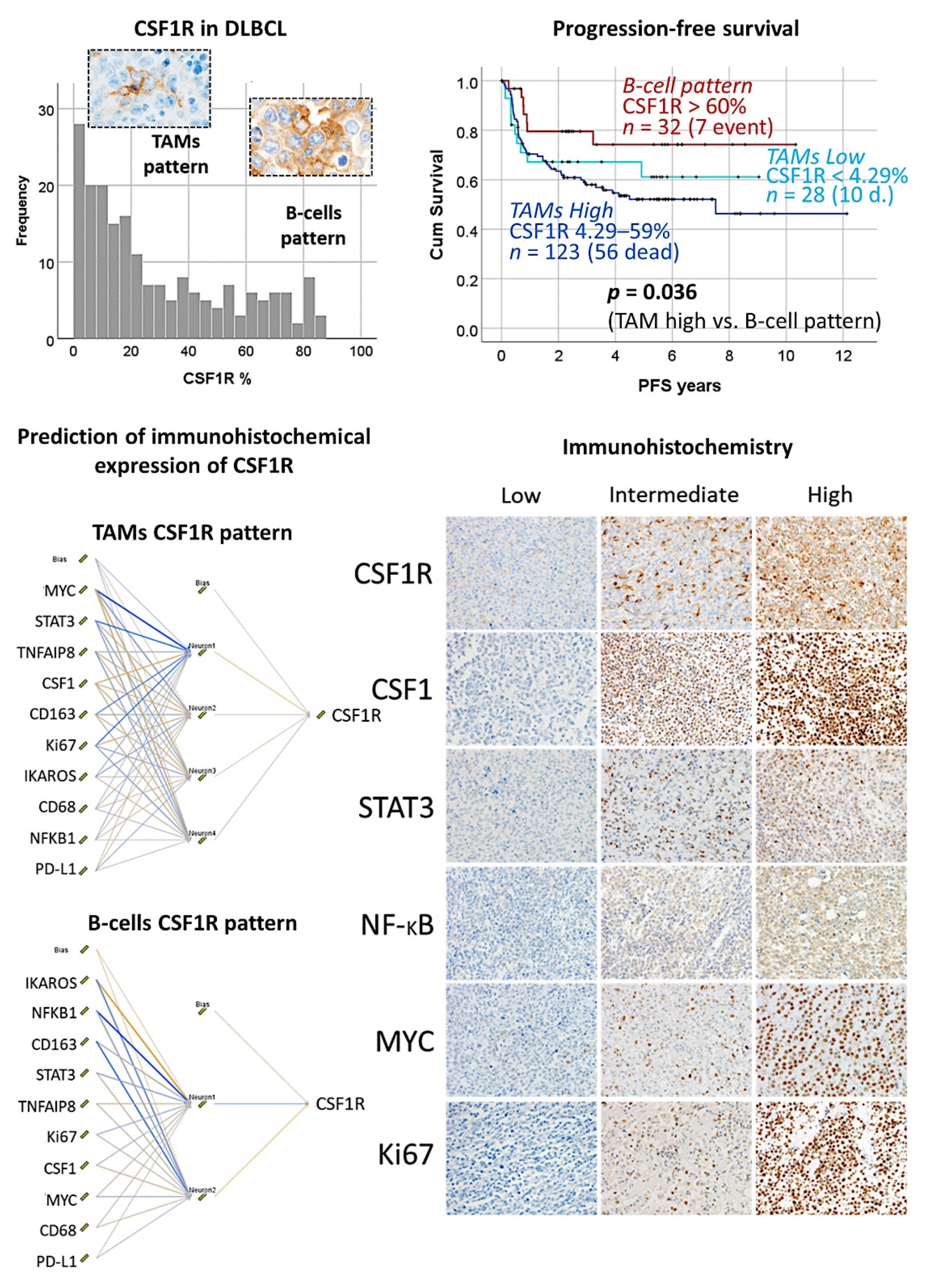 Cancers 14 05318 g016 Cancers 14 05318 g016