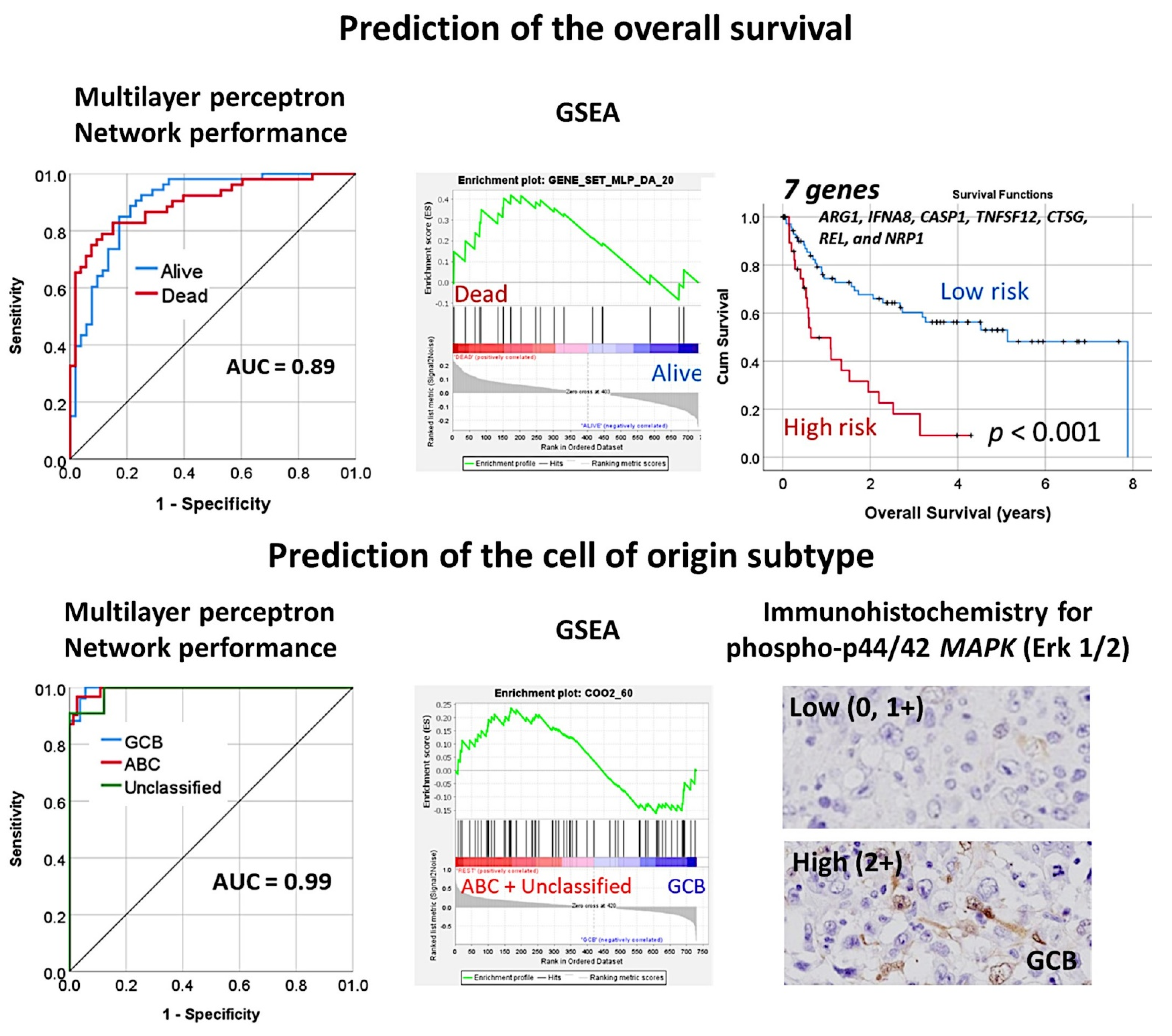 Cancers 14 05318 g019 Cancers 14 05318 g019
